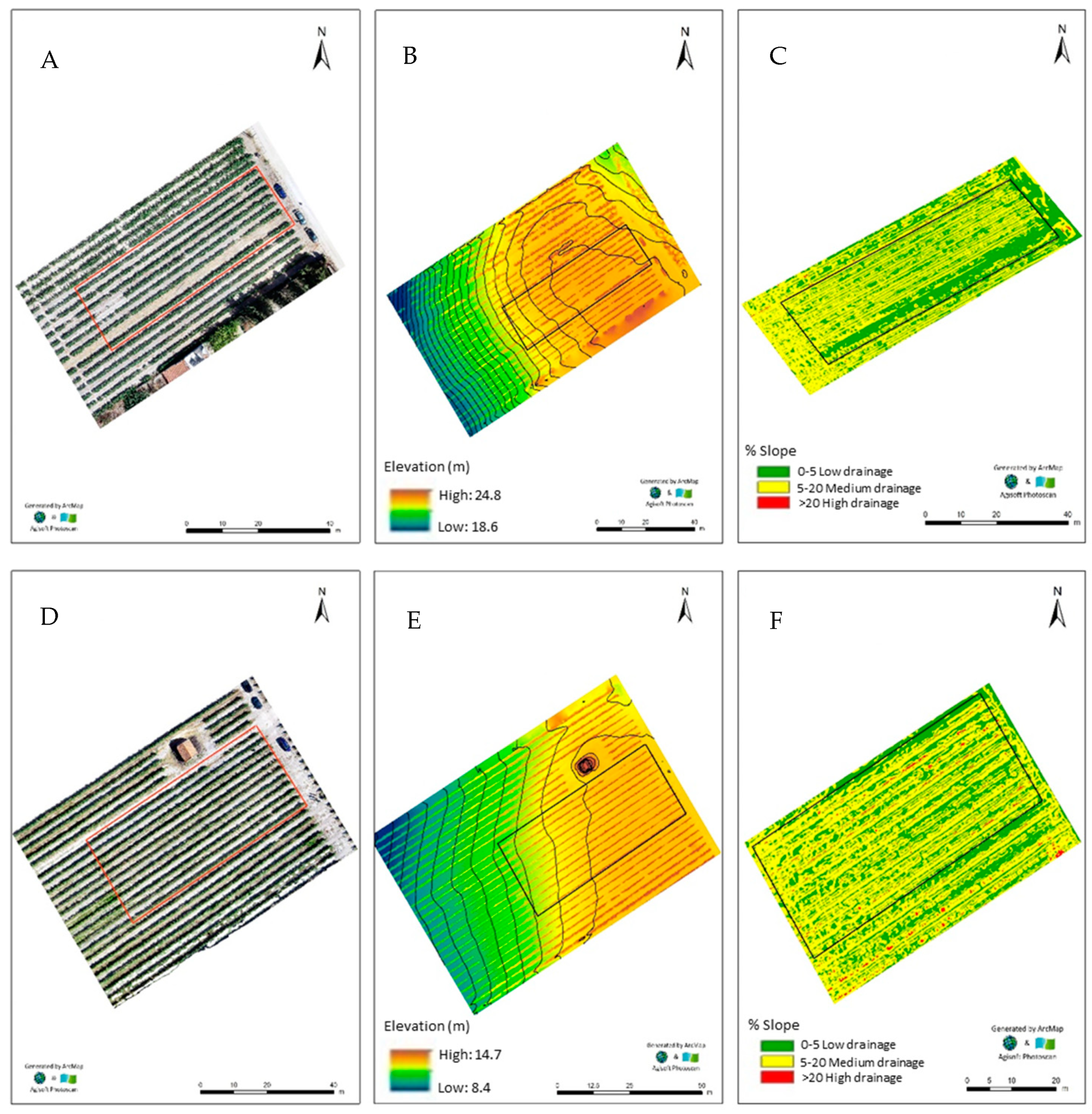 Plants 11 01399 g001