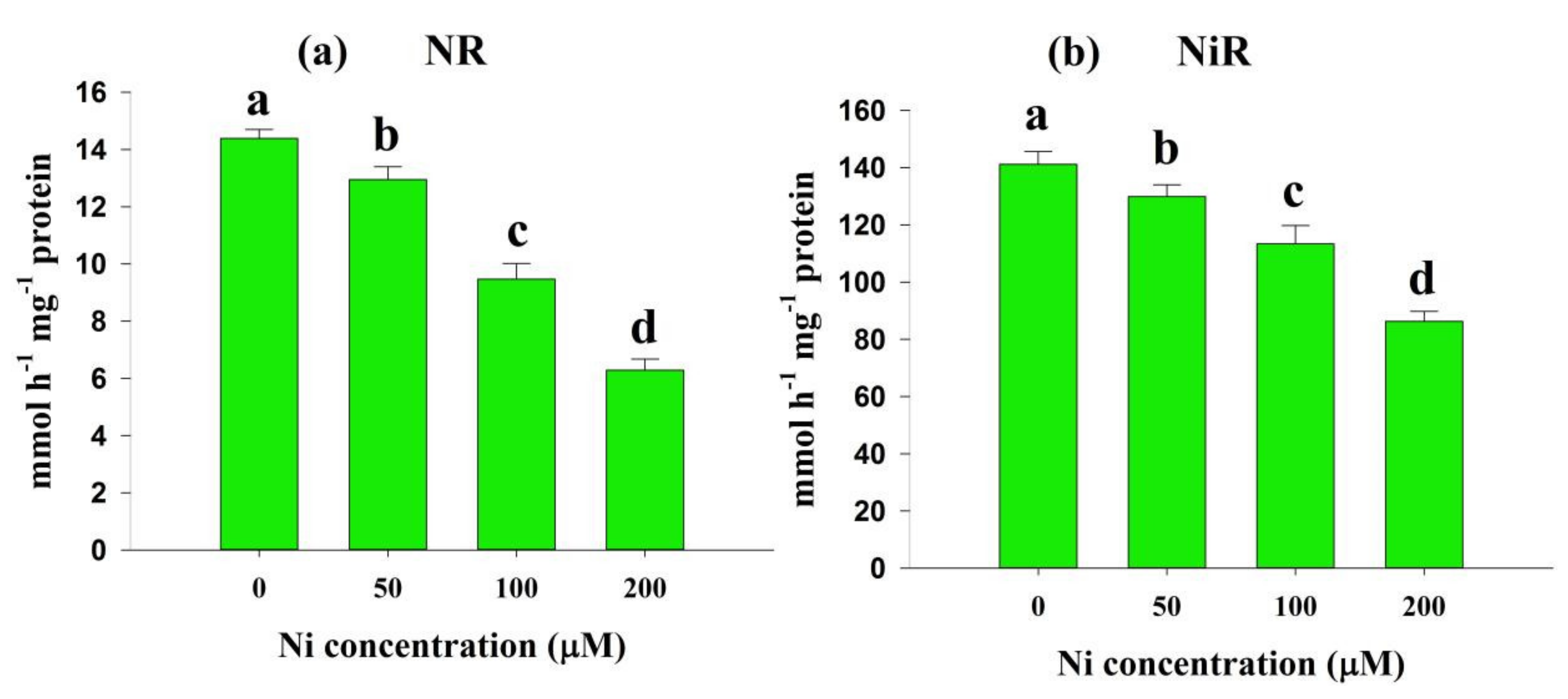 Plants 11 01401 g004