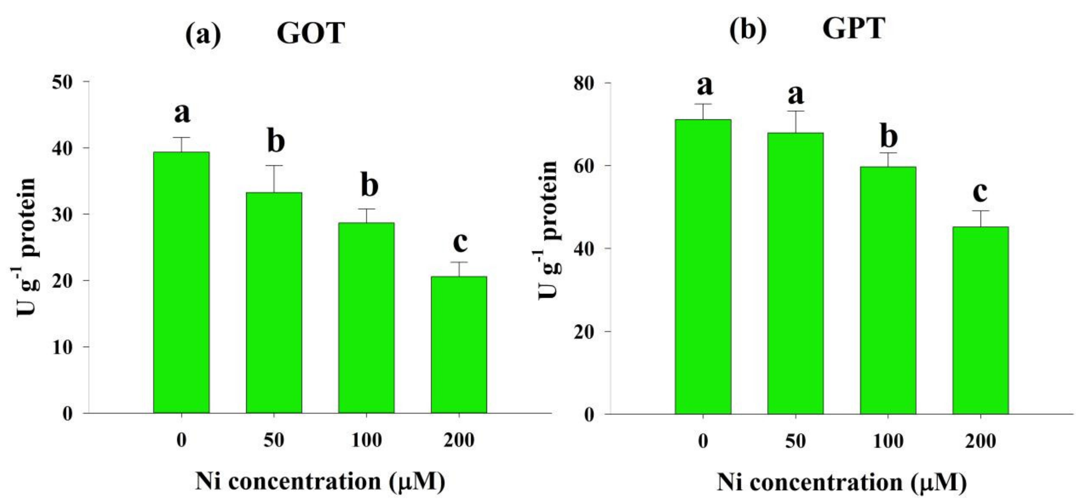 Plants 11 01401 g006