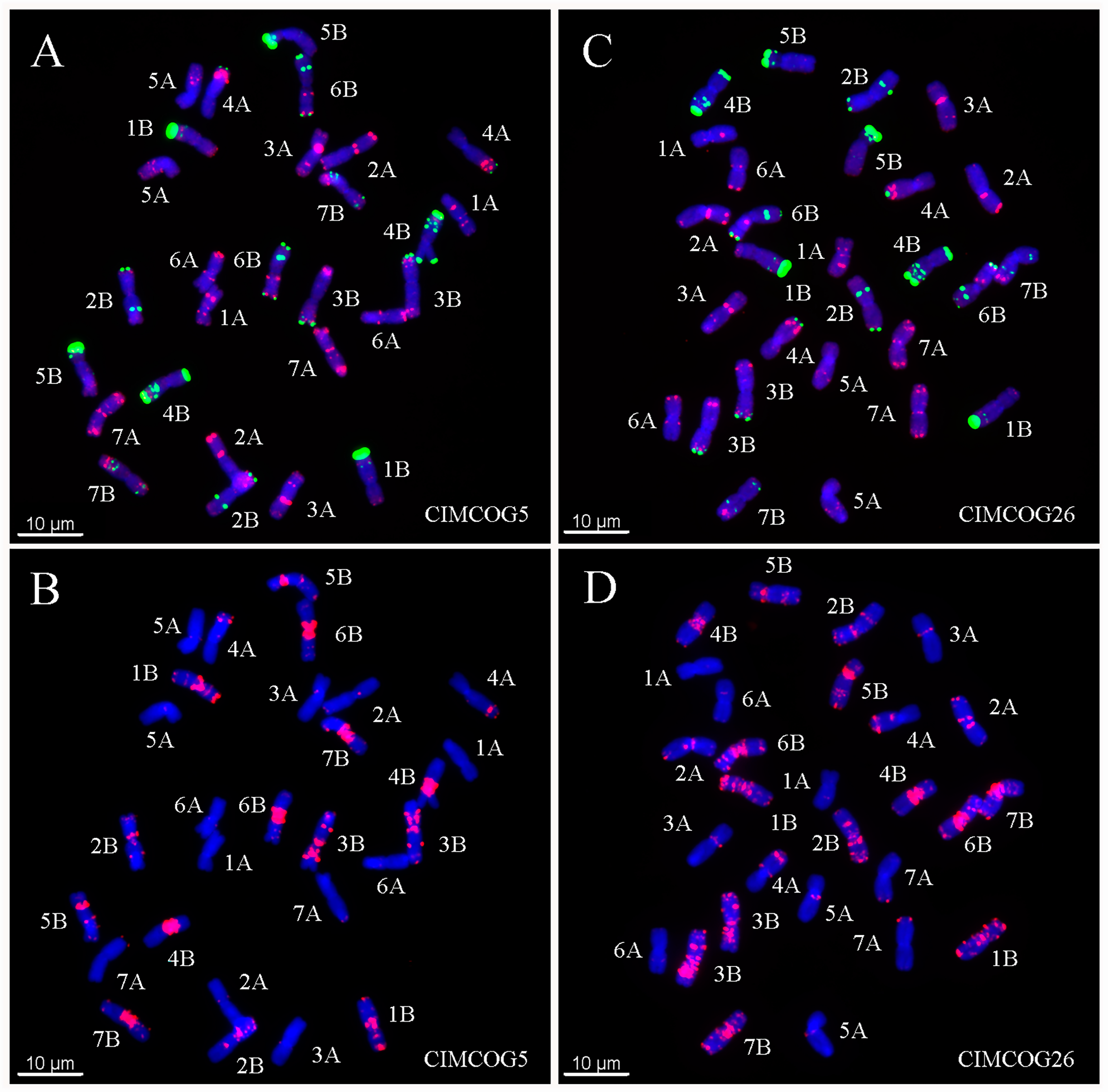 Plants 11 01403 g002 550