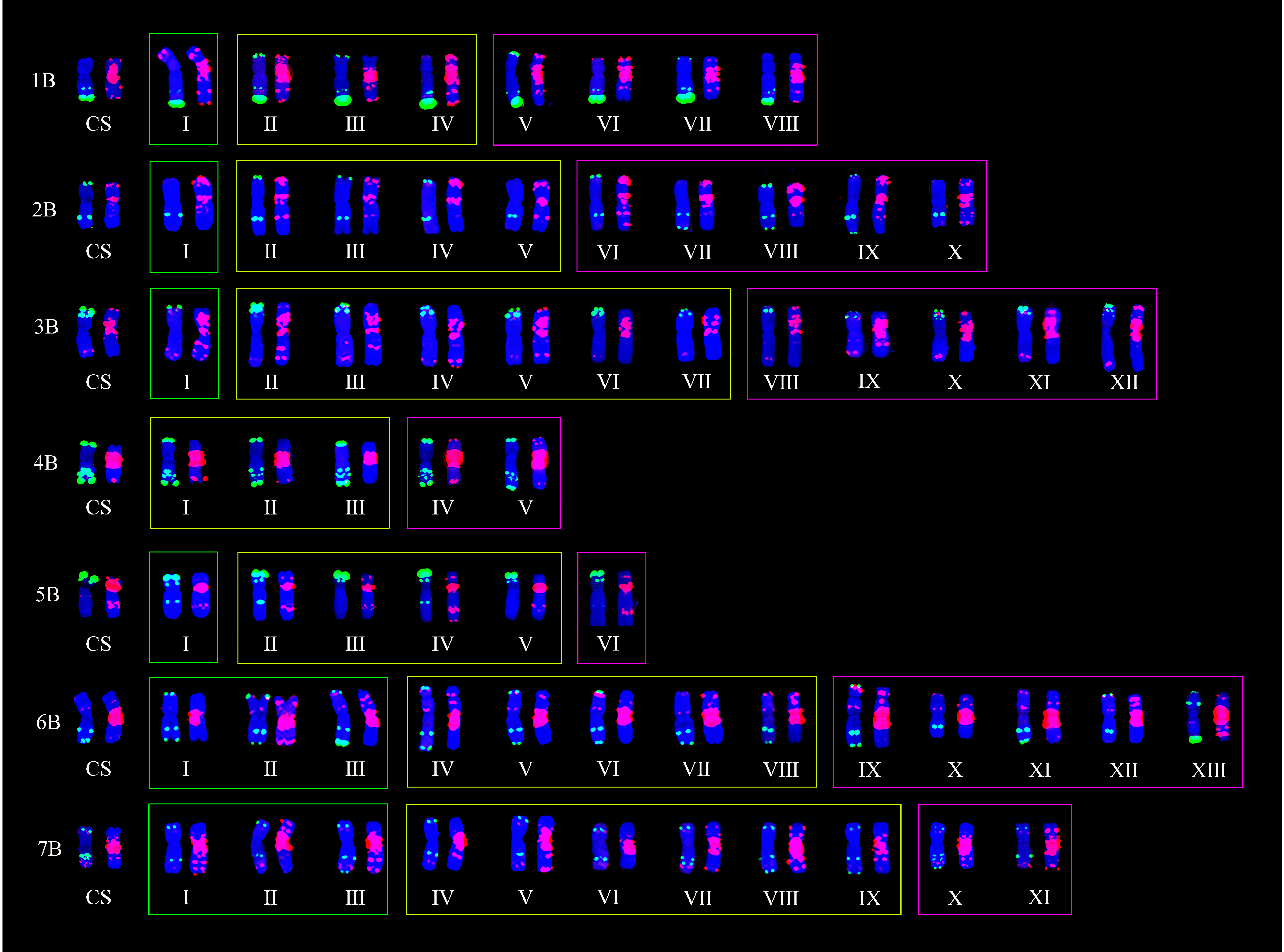 Plants 11 01403 g004 550