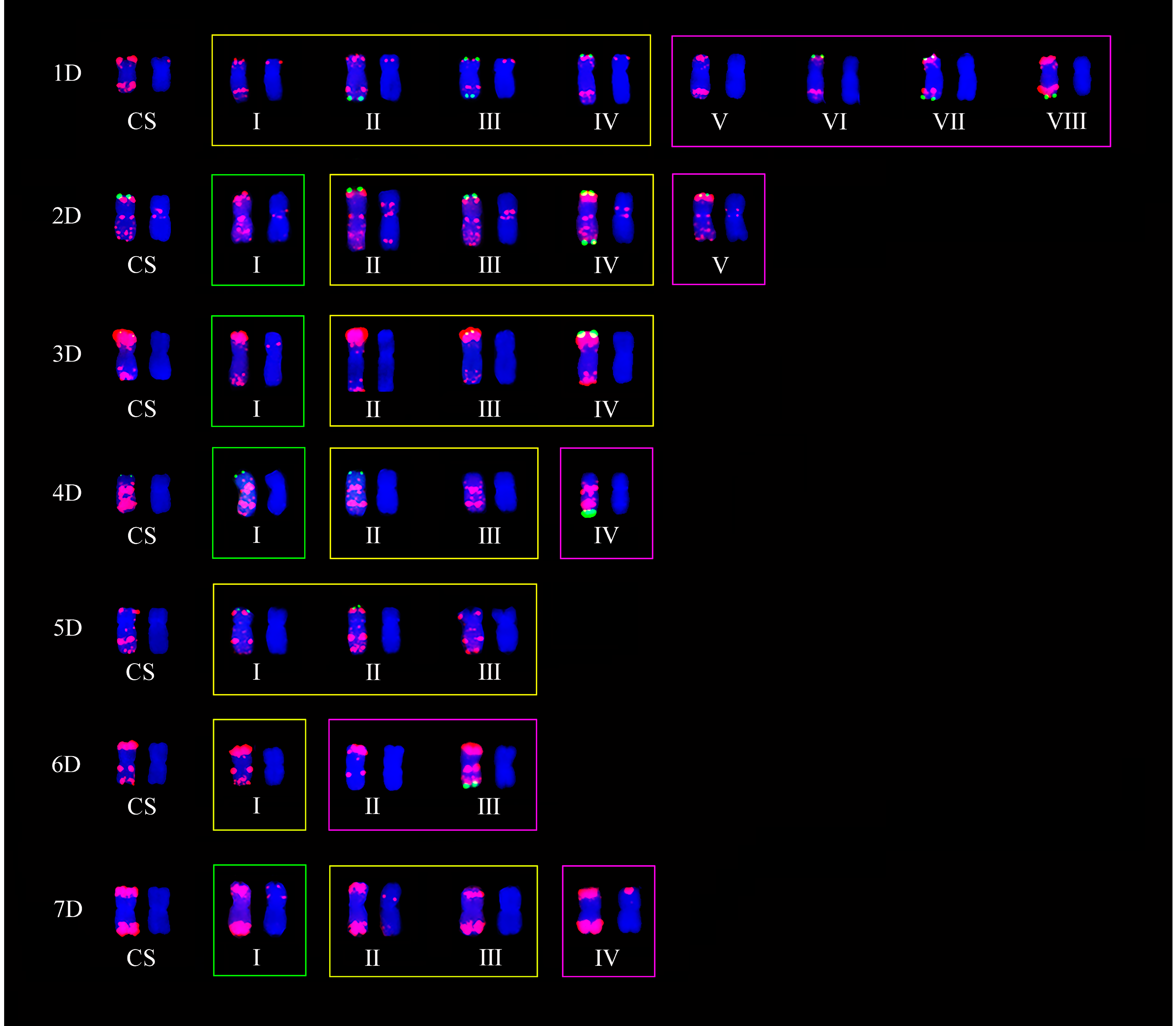 Plants 11 01403 g005 550