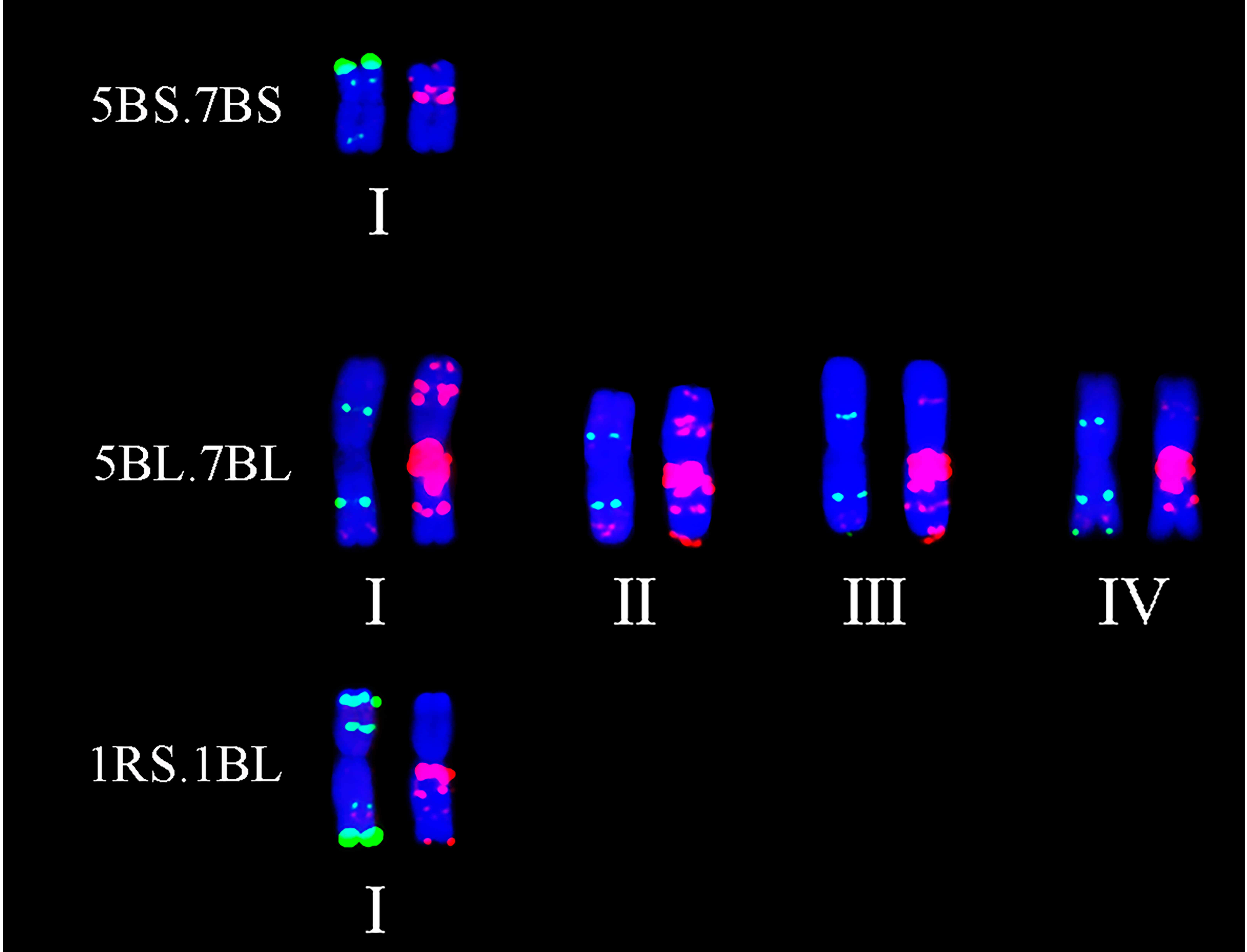 Plants 11 01403 g006 550