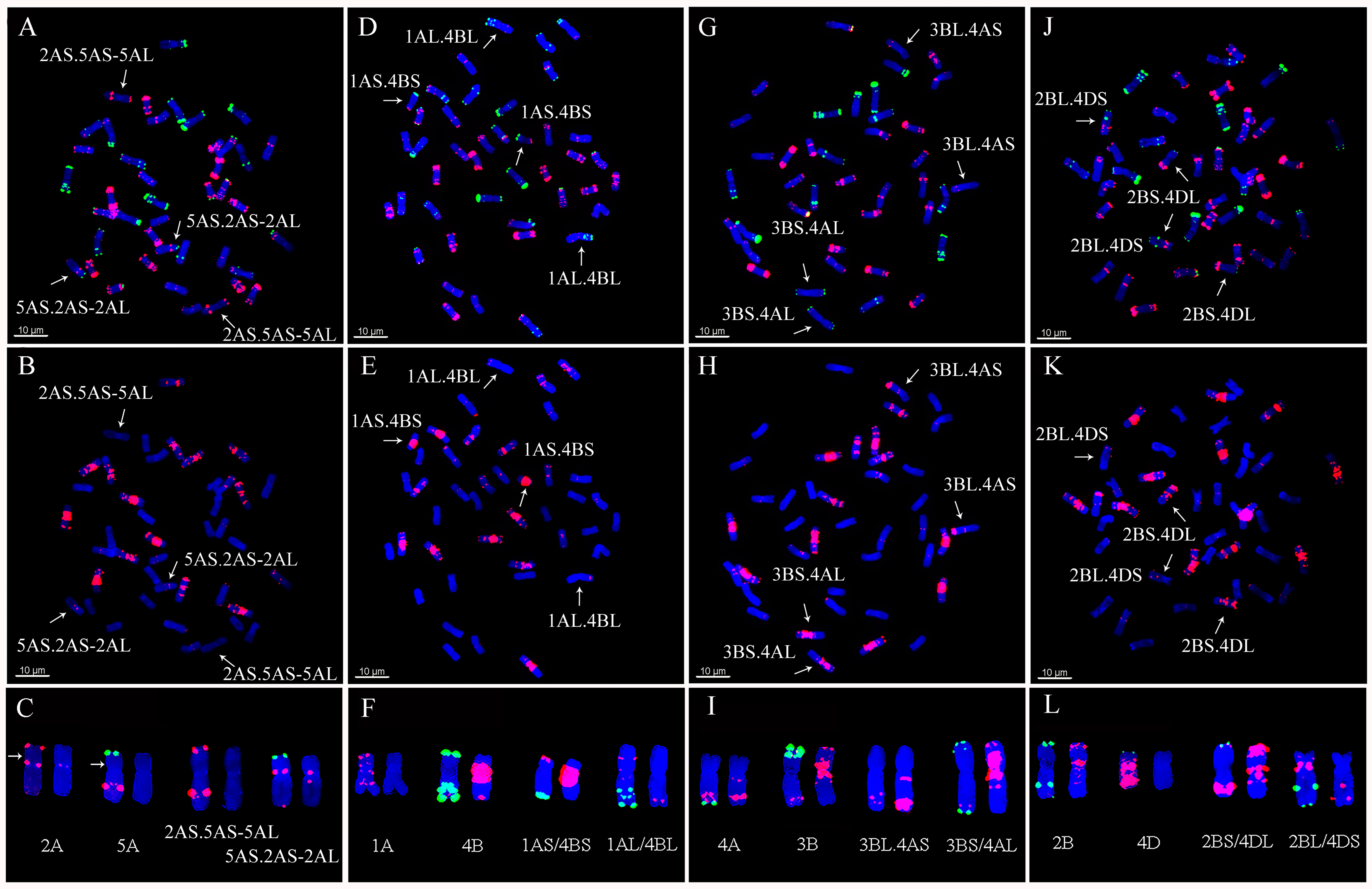 Plants 11 01403 g007 550