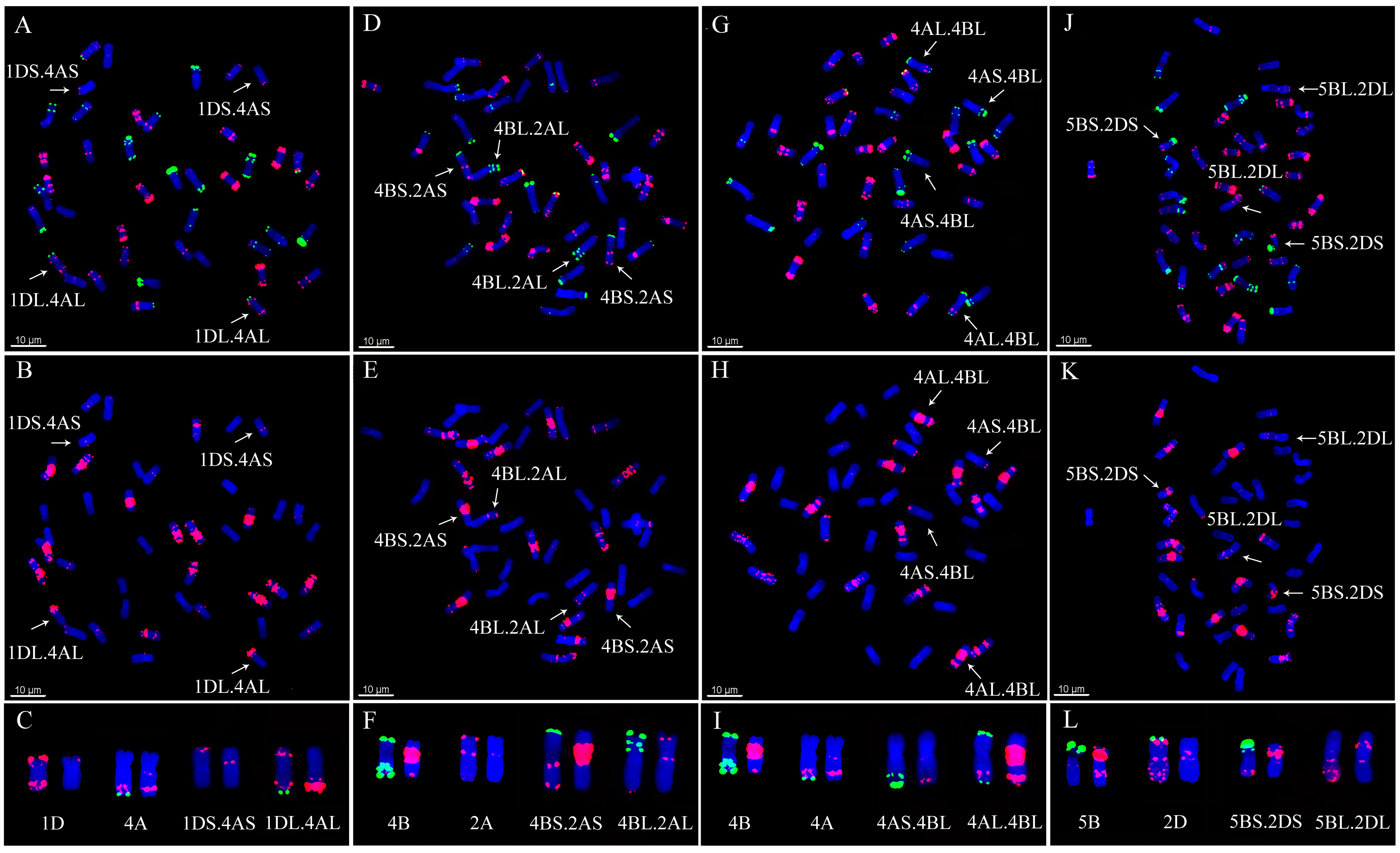 Plants 11 01403 g008 550