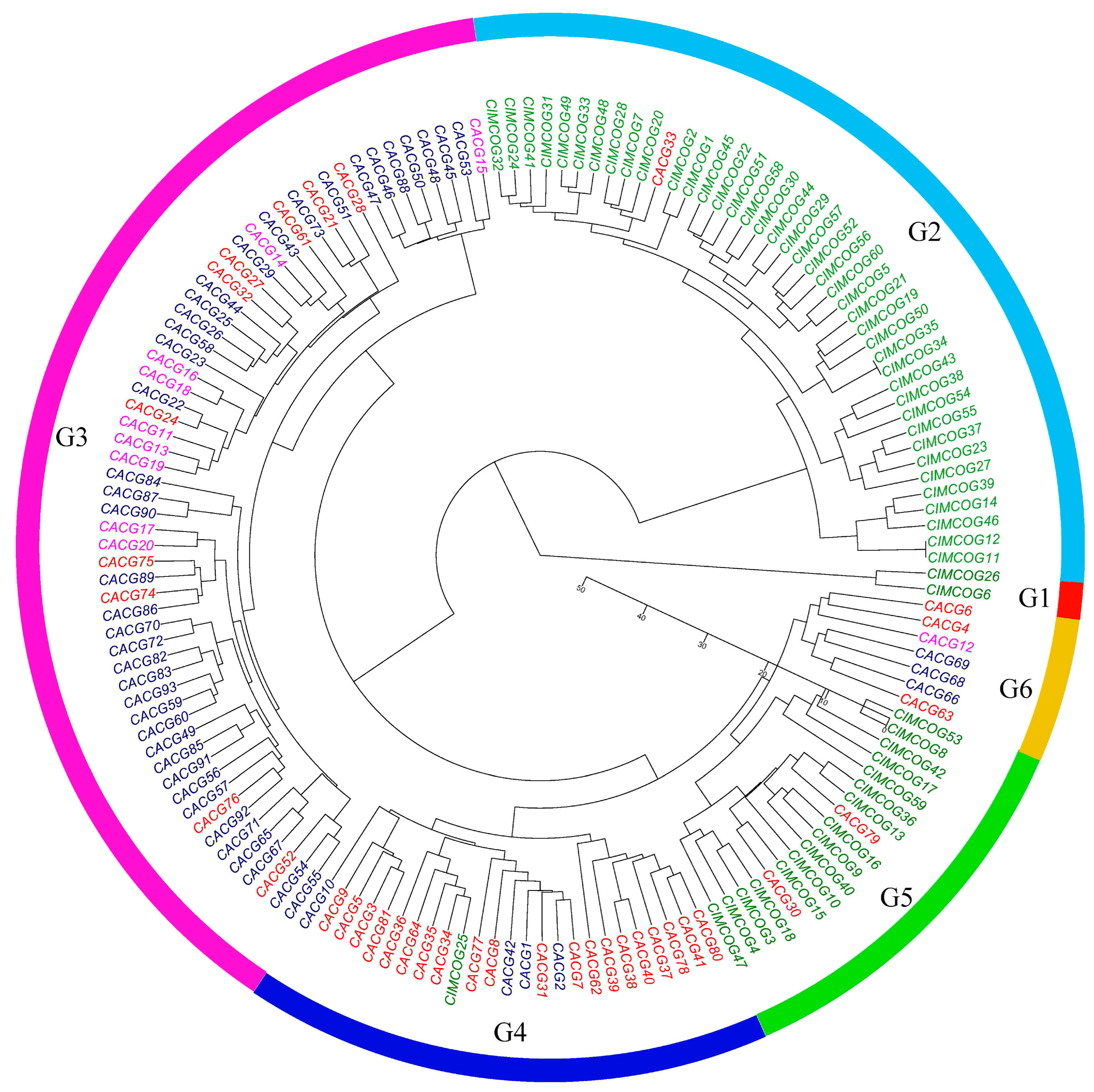 Plants 11 01403 g009 550