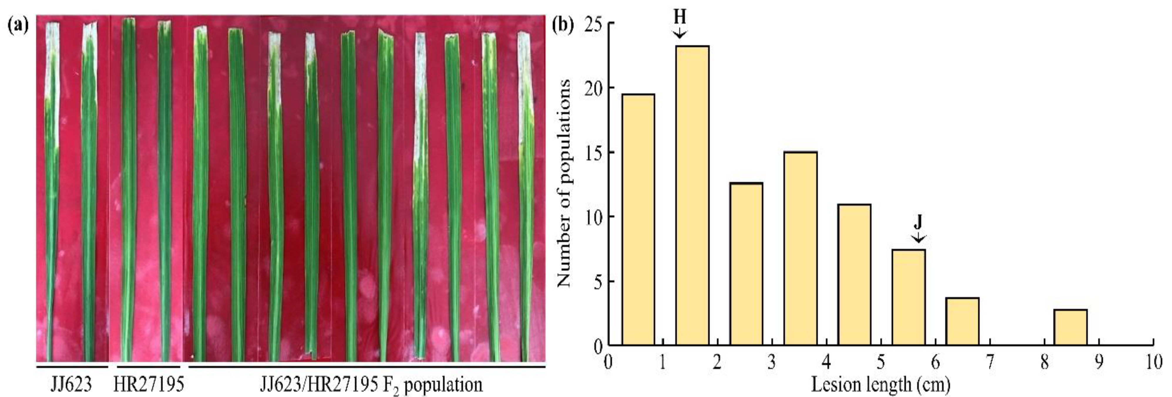 Plants 11 01404 g001