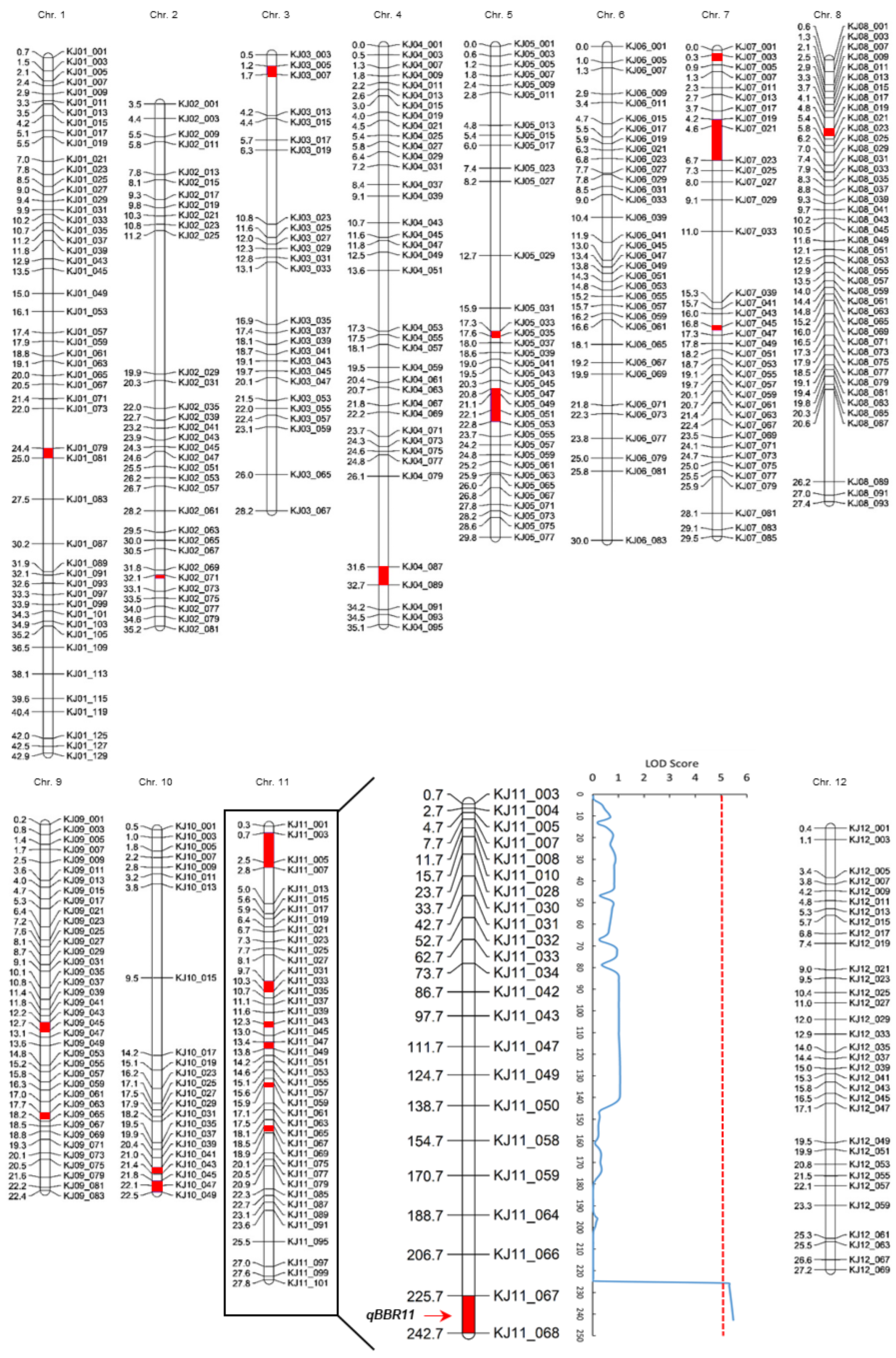 Plants 11 01404 g002
