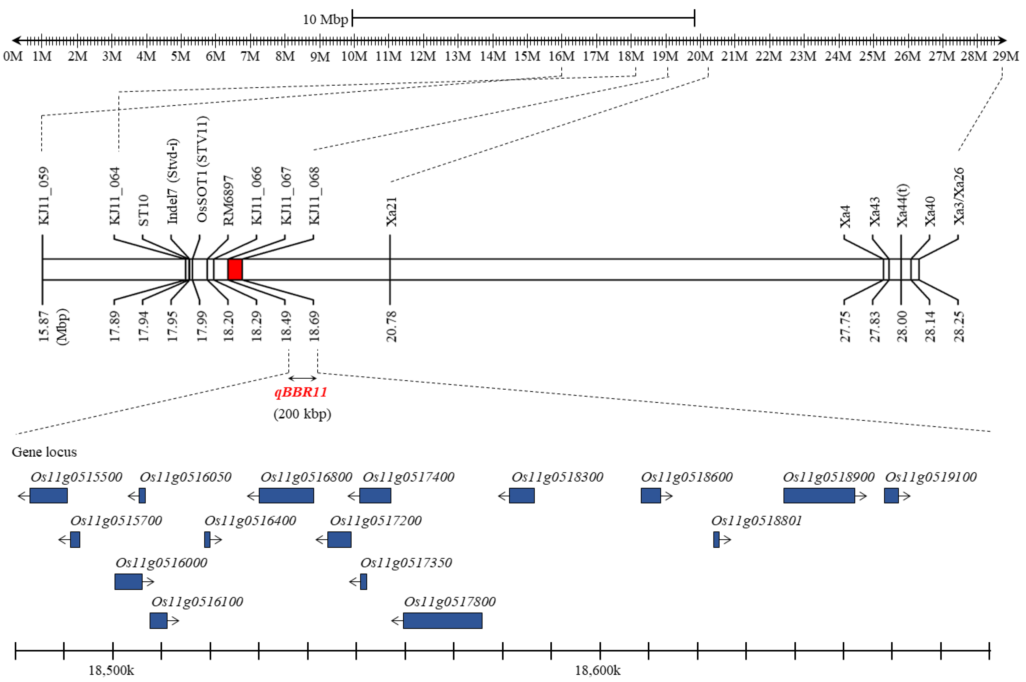 Plants 11 01404 g003