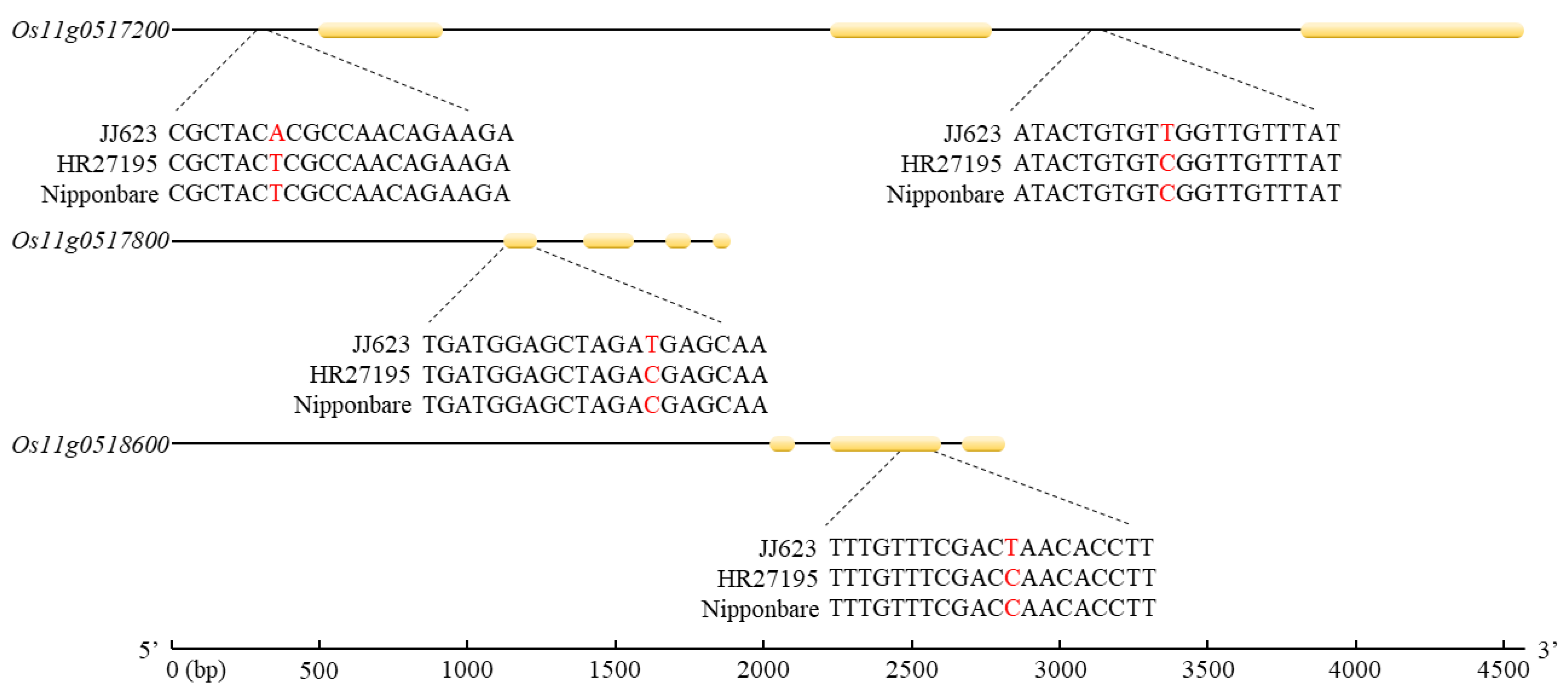Plants 11 01404 g004