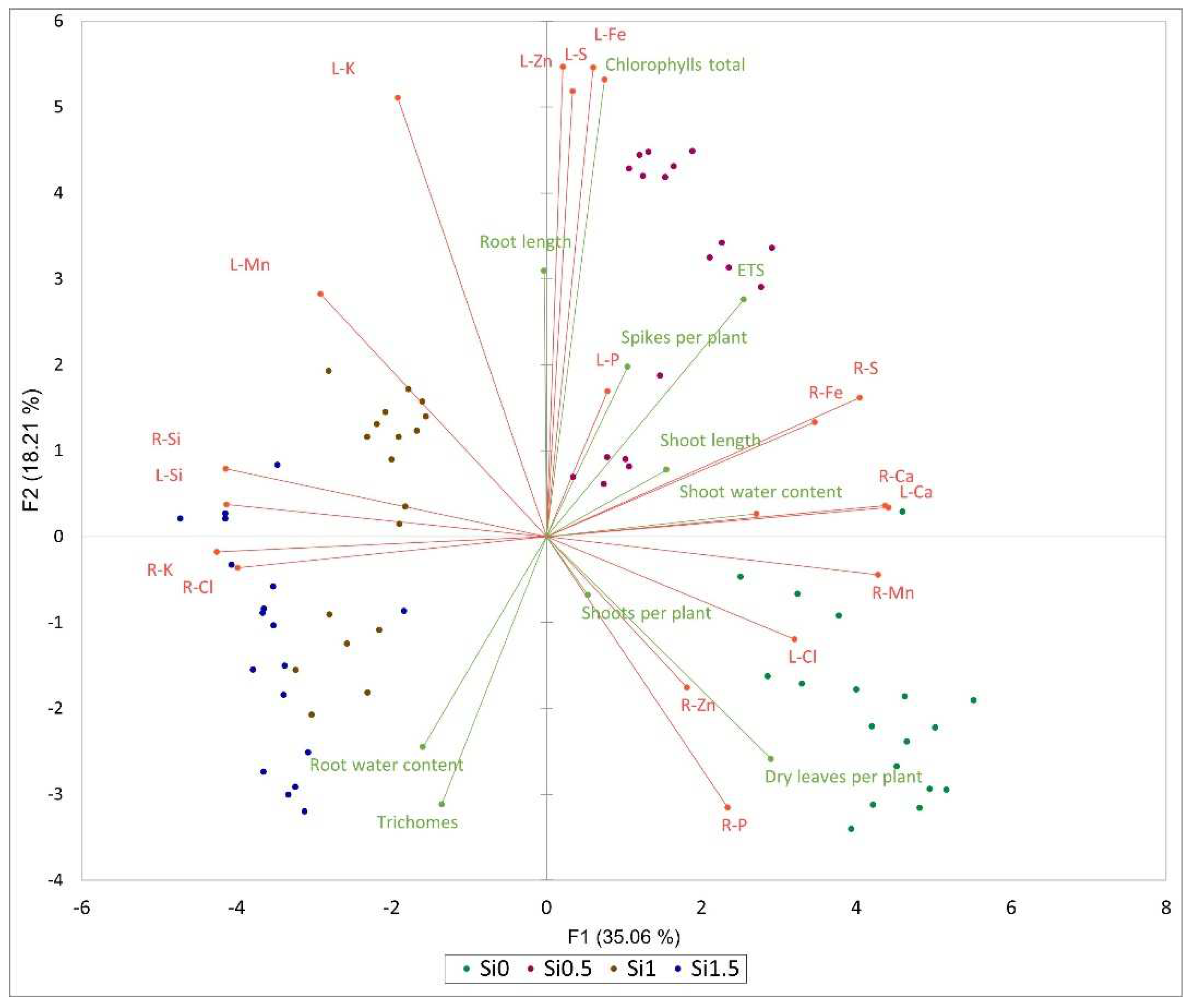 Plants 11 01405 g004