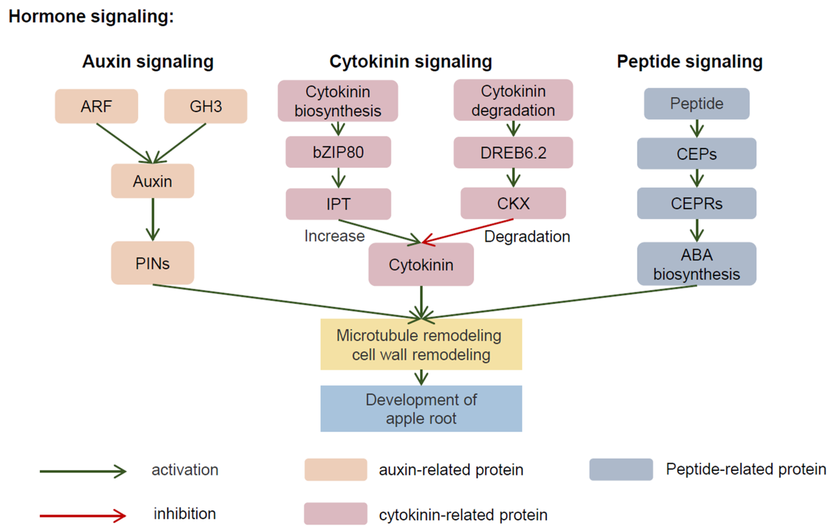 Plants 11 01408 g003 550