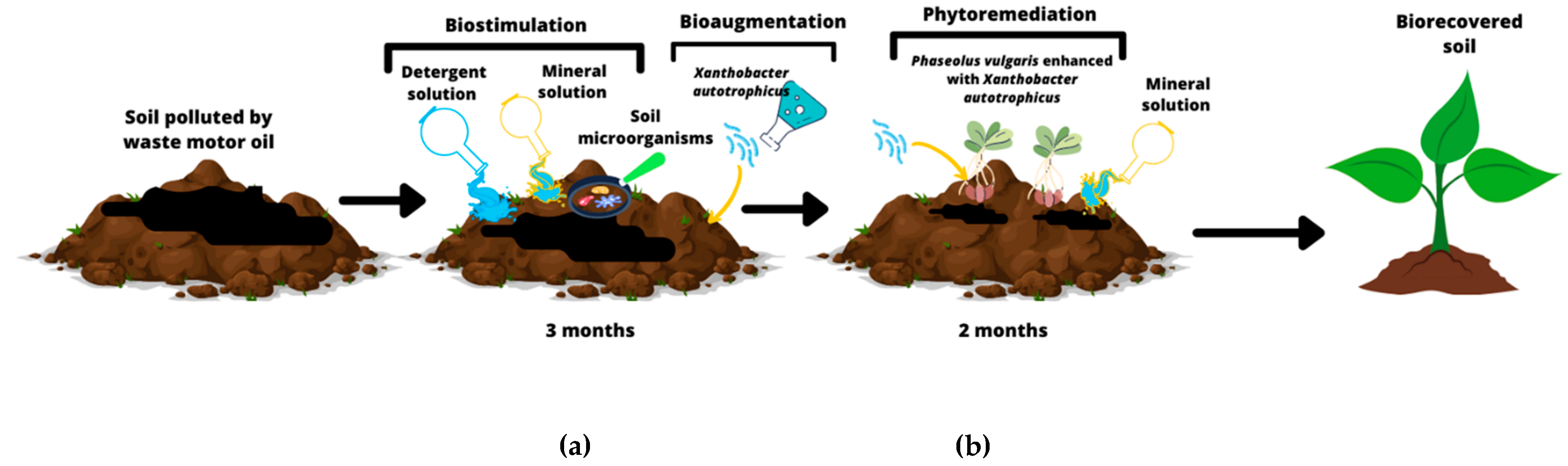 Plants 11 01419 g003