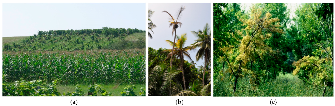 Plants 11 01425 g007