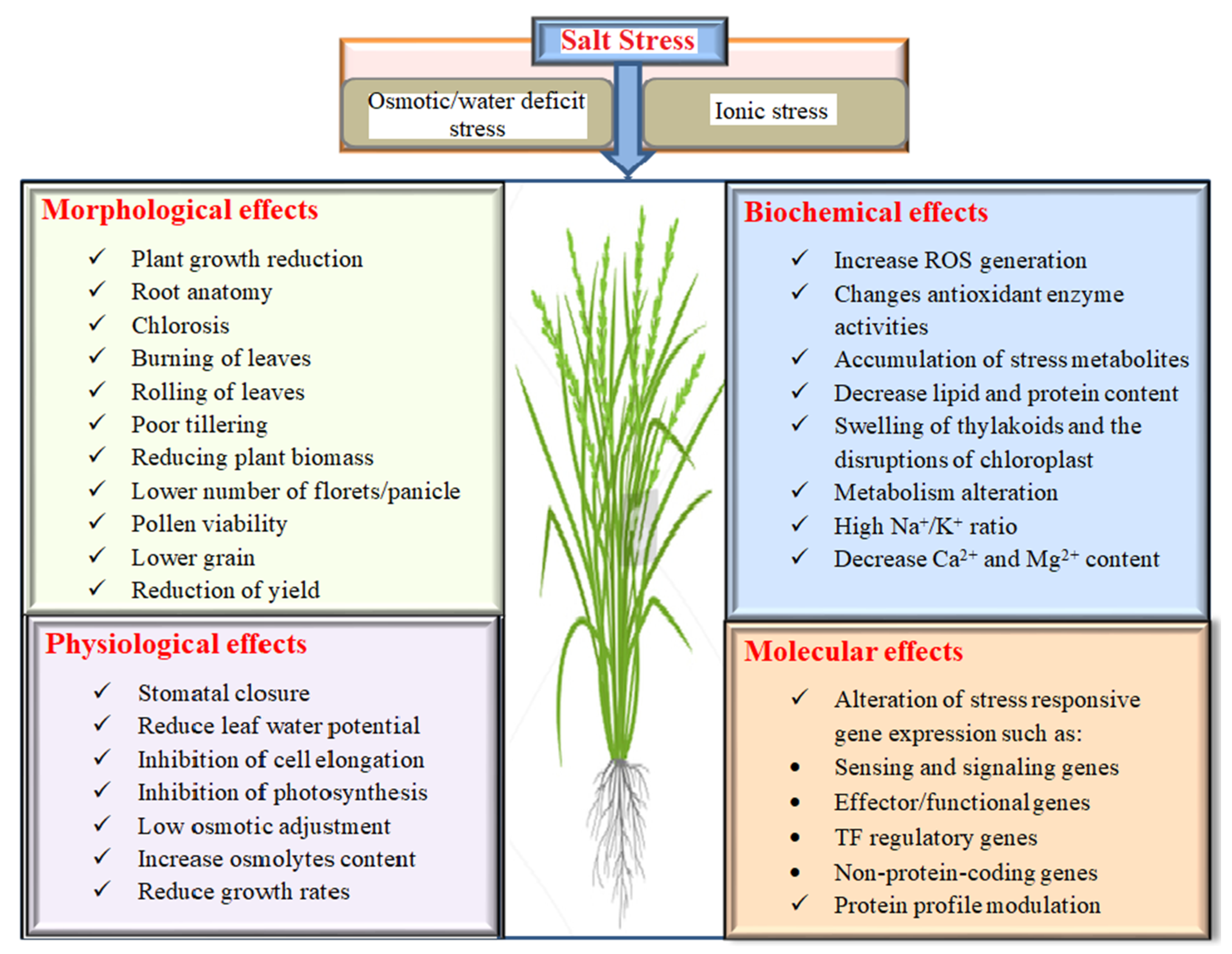 Plants 11 01430 g001