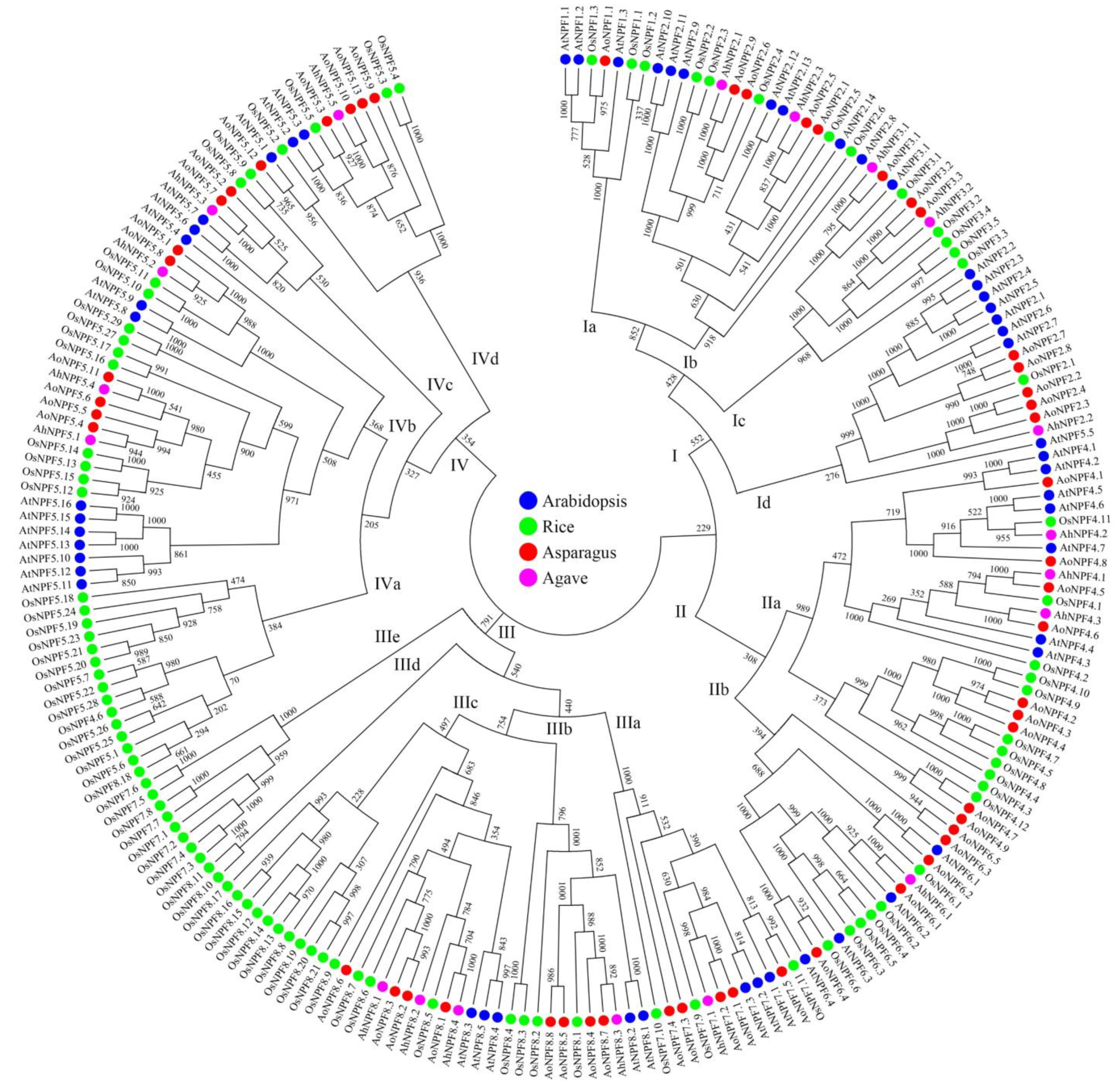 Plants 11 01434 g001