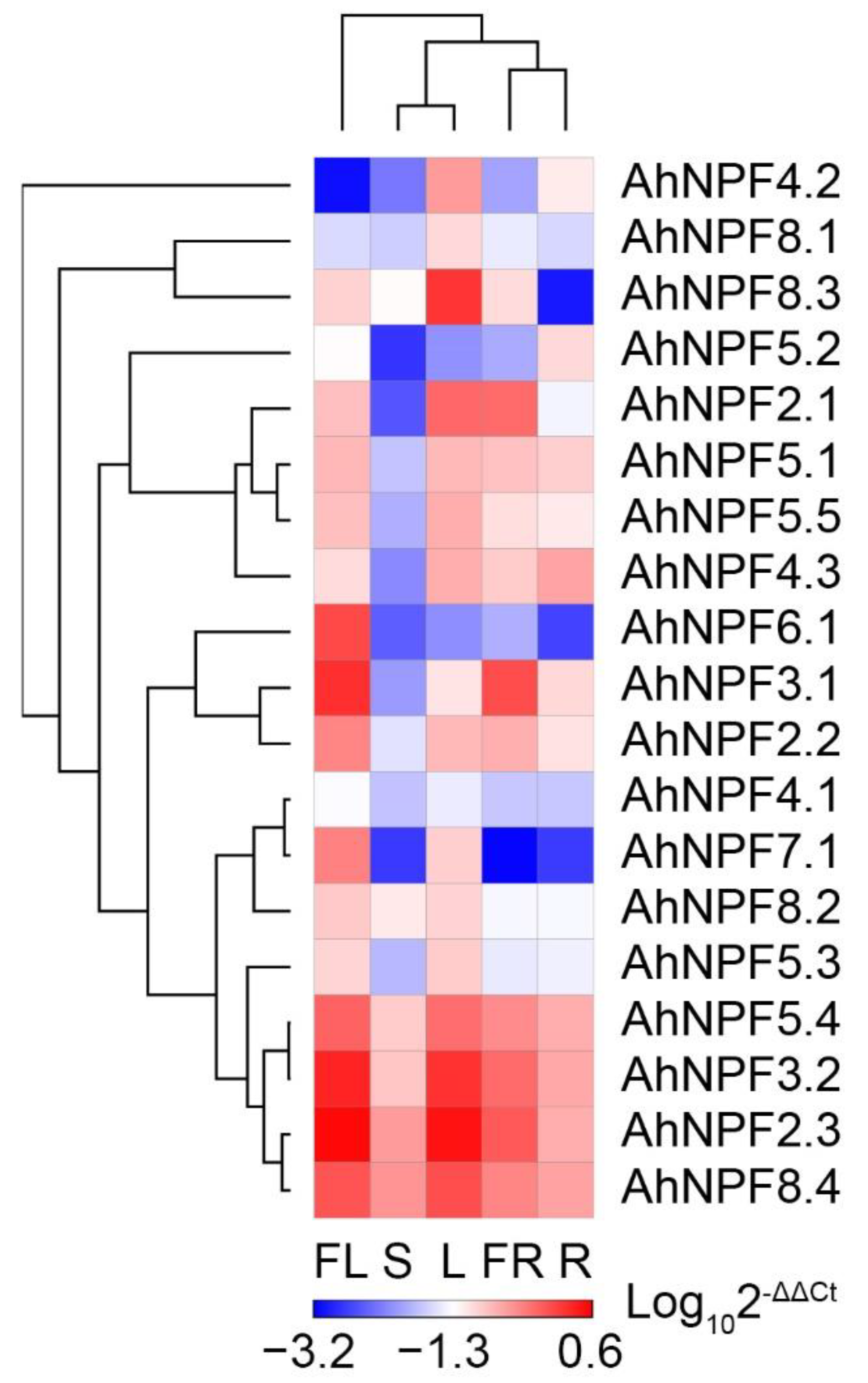 Plants 11 01434 g003