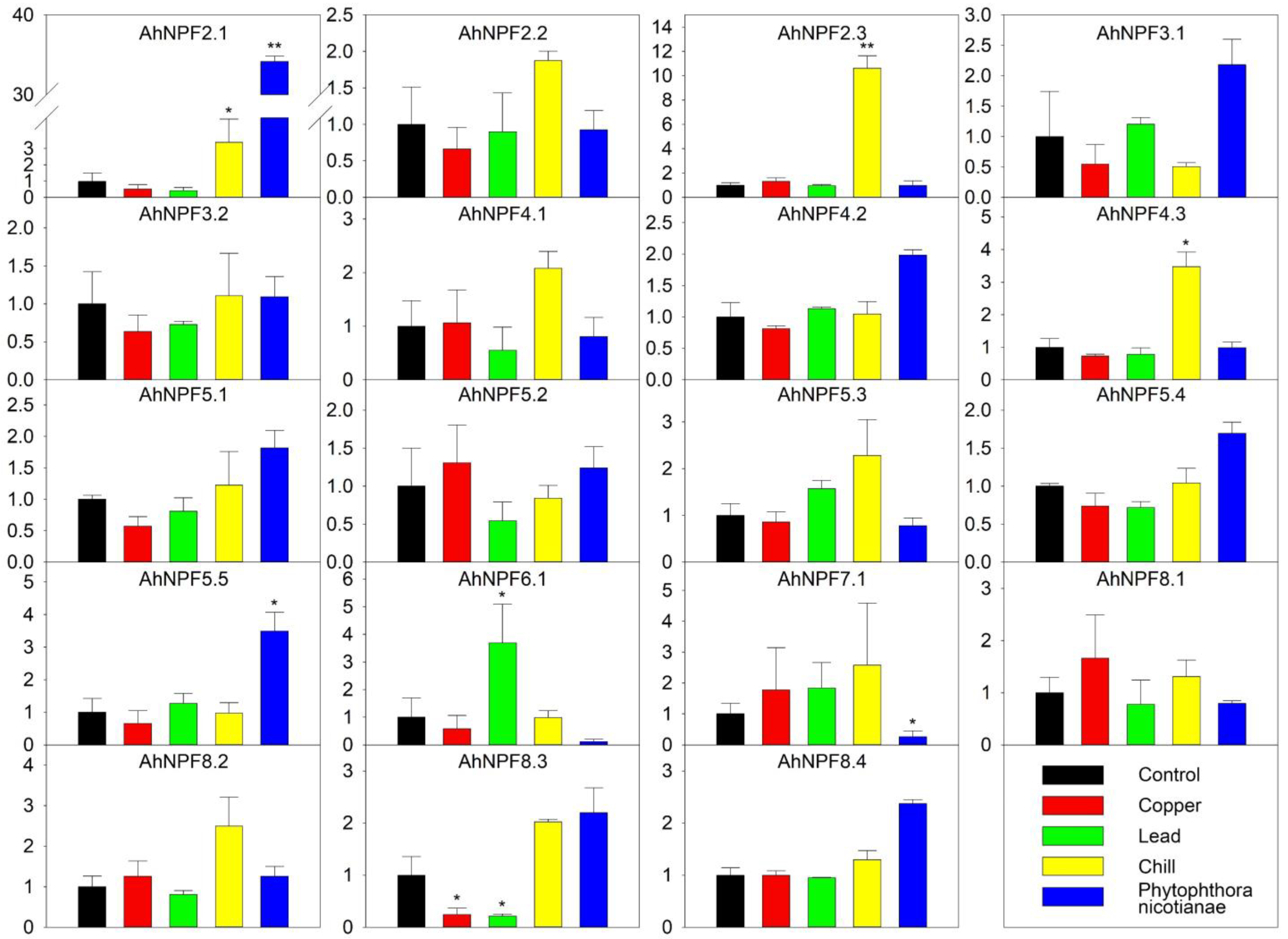 Plants 11 01434 g005