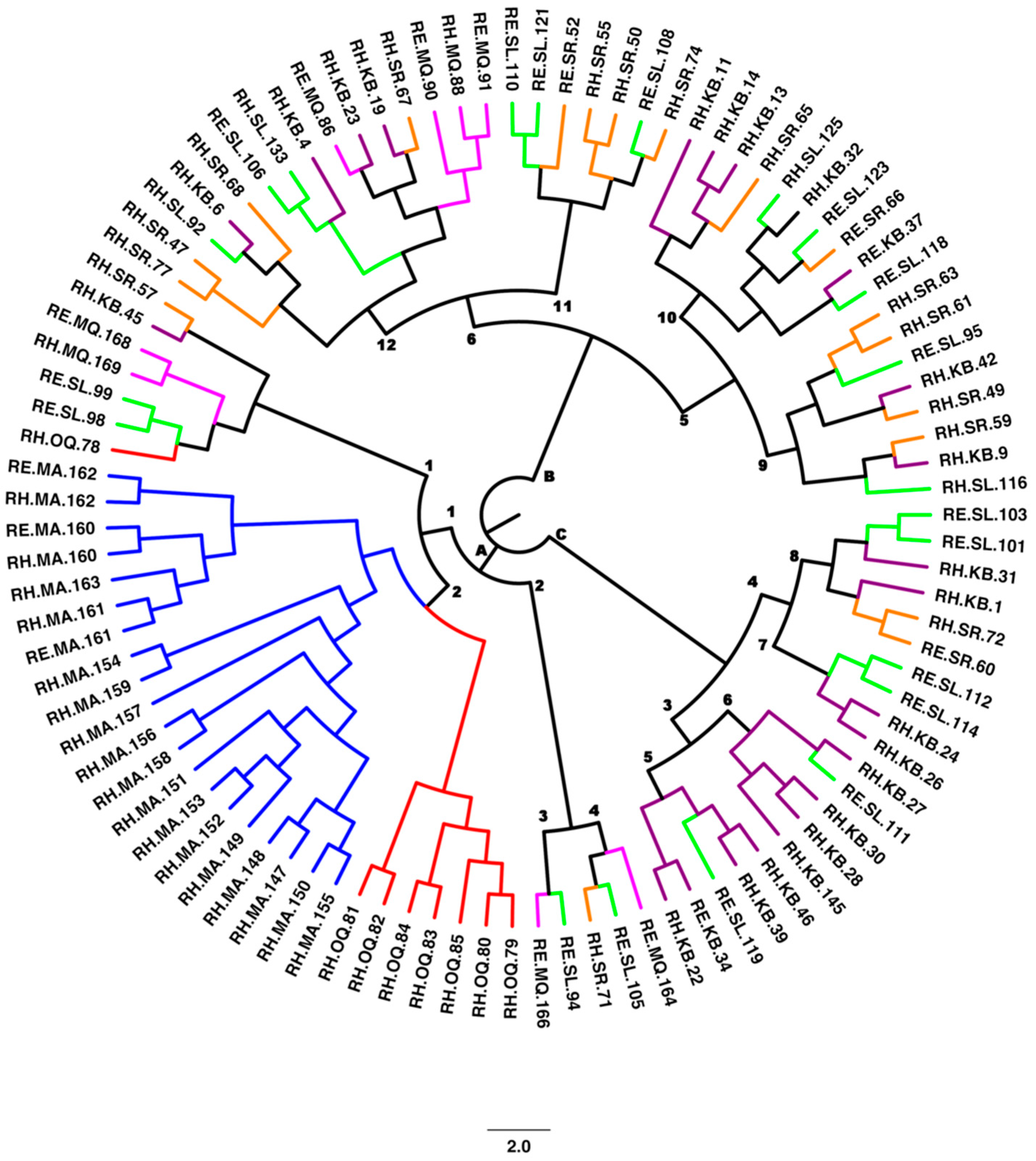 Plants 11 01435 g003 Plants 11 01435 g003