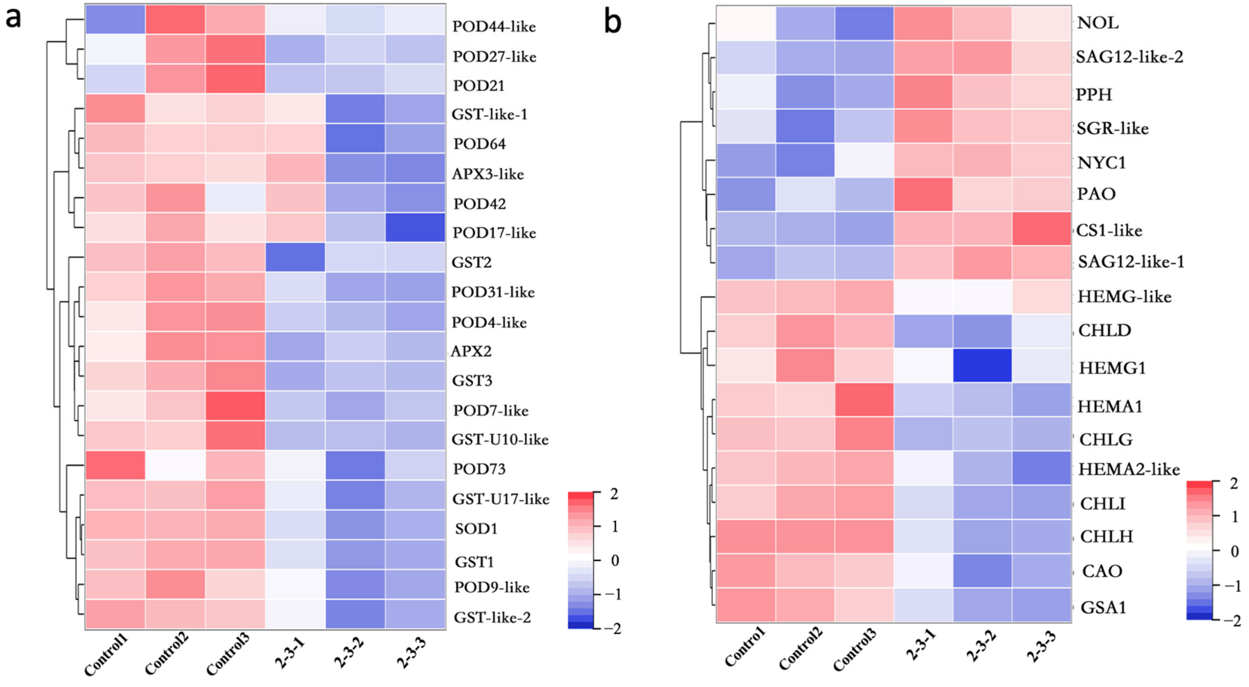 Plants 11 01438 g004 Plants 11 01438 g004