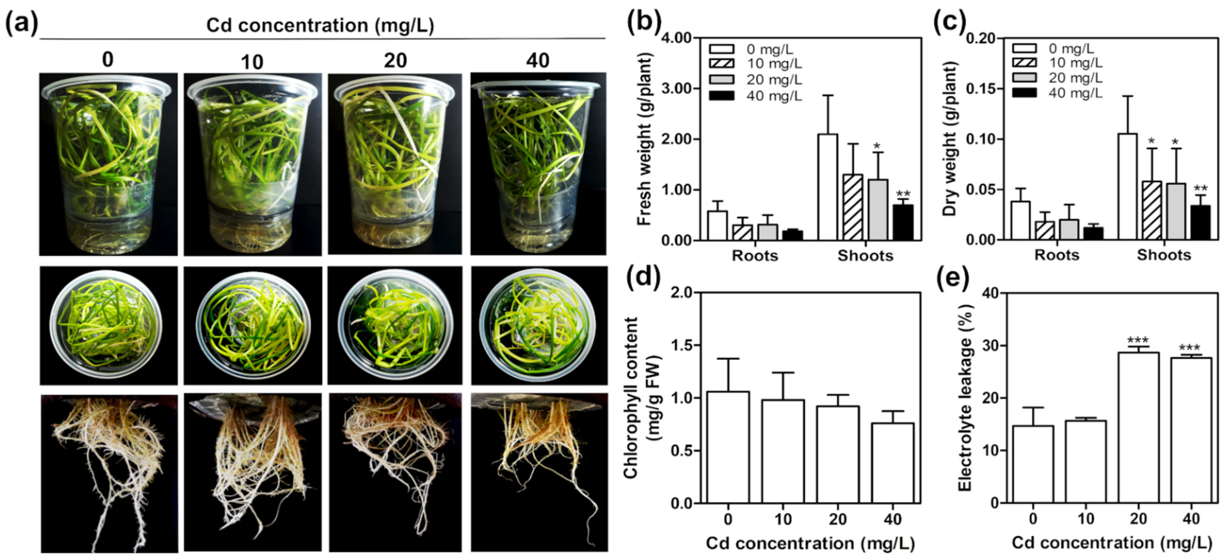 Plants 11 01447 g002