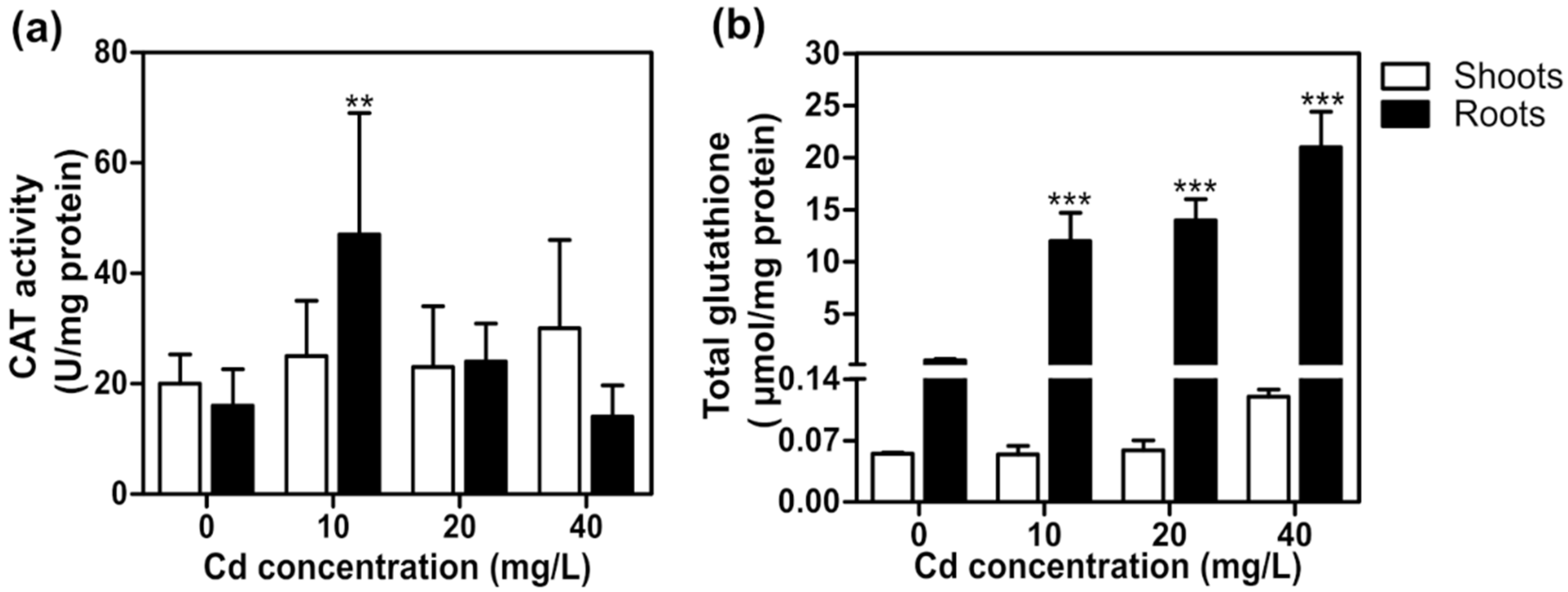 Plants 11 01447 g003