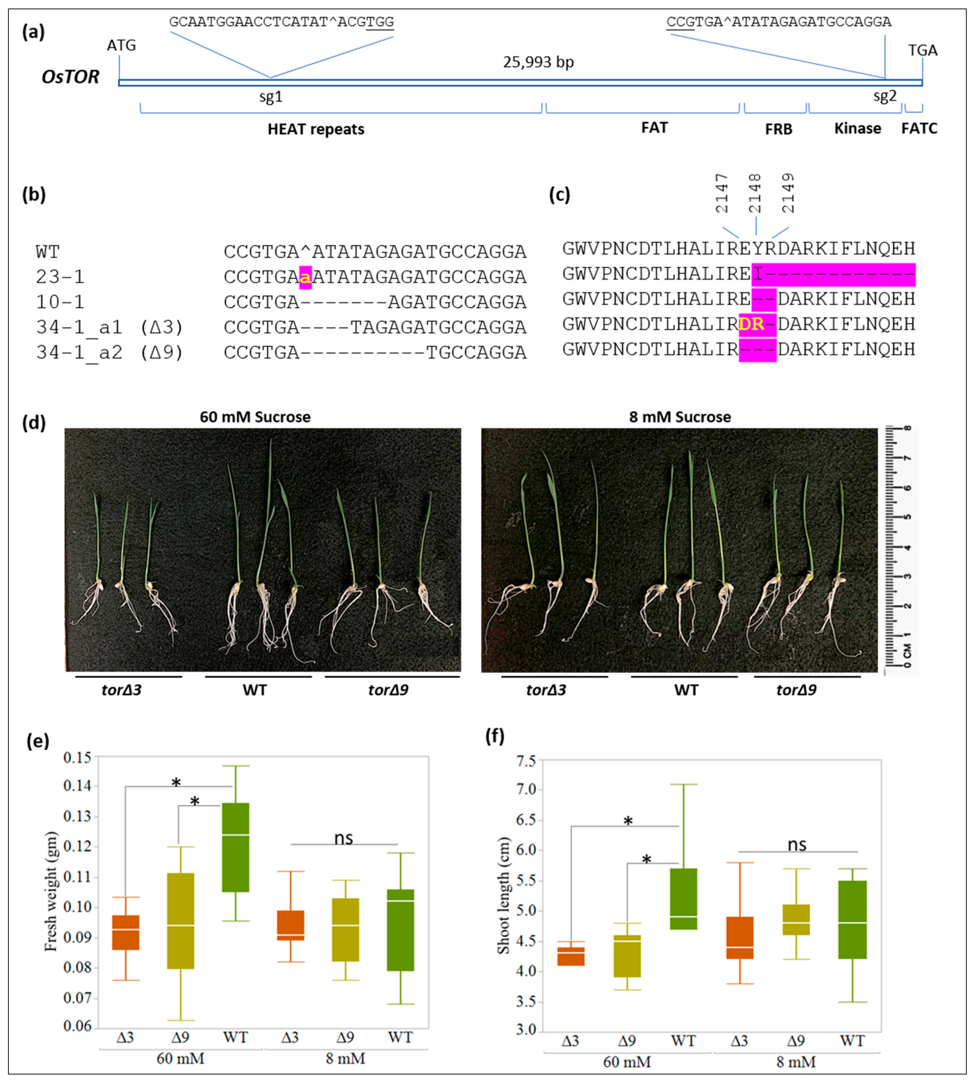 Plants 11 01453 g001