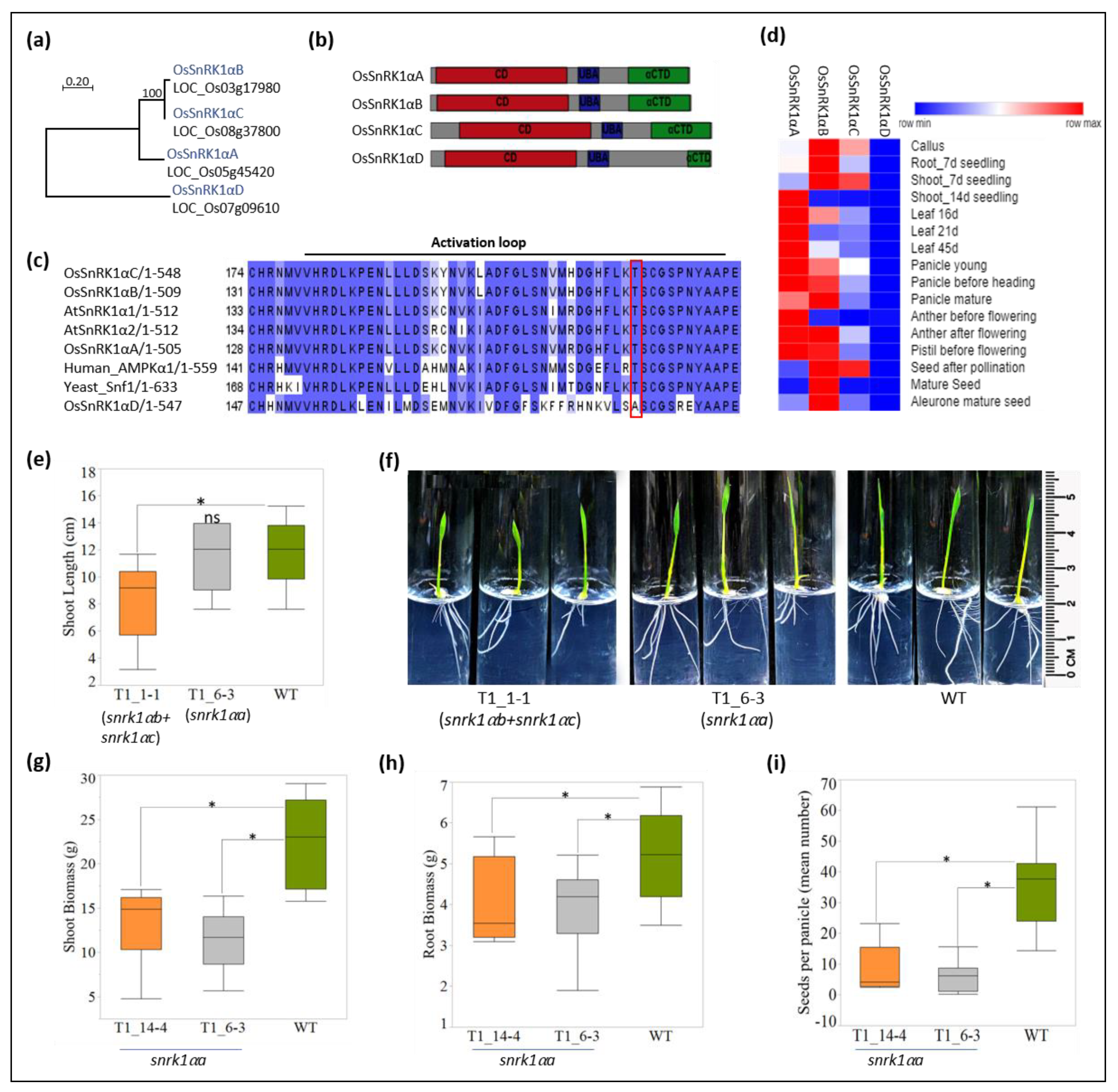 Plants 11 01453 g002