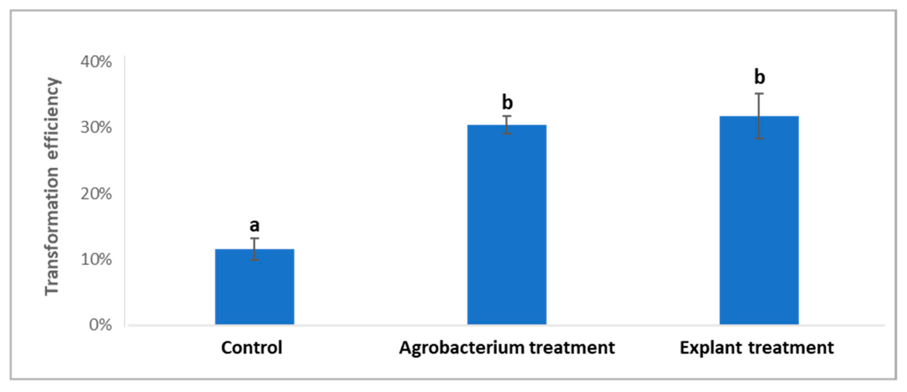 Plants 11 01457 g002