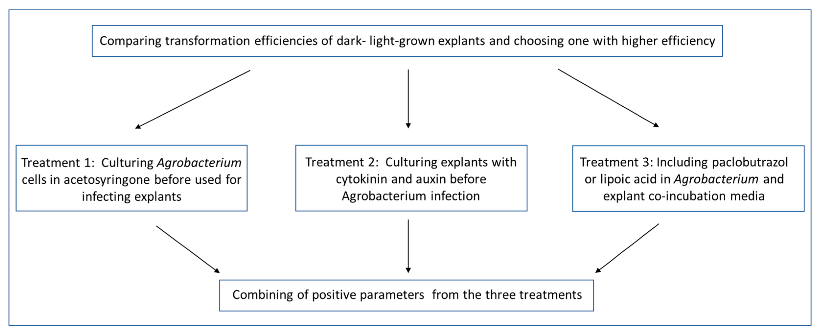 Plants 11 01457 g006