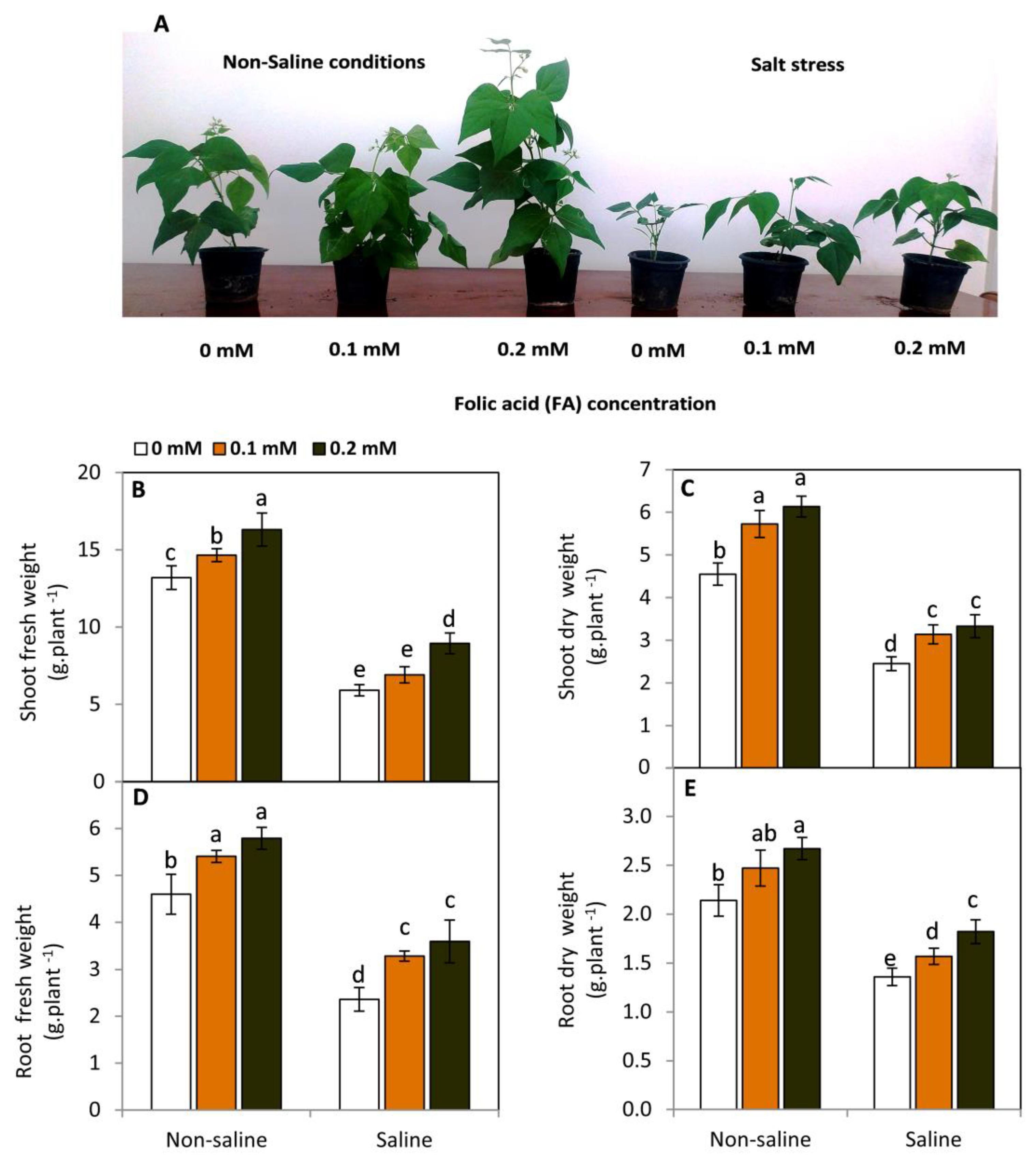 Plants 11 01459 g001