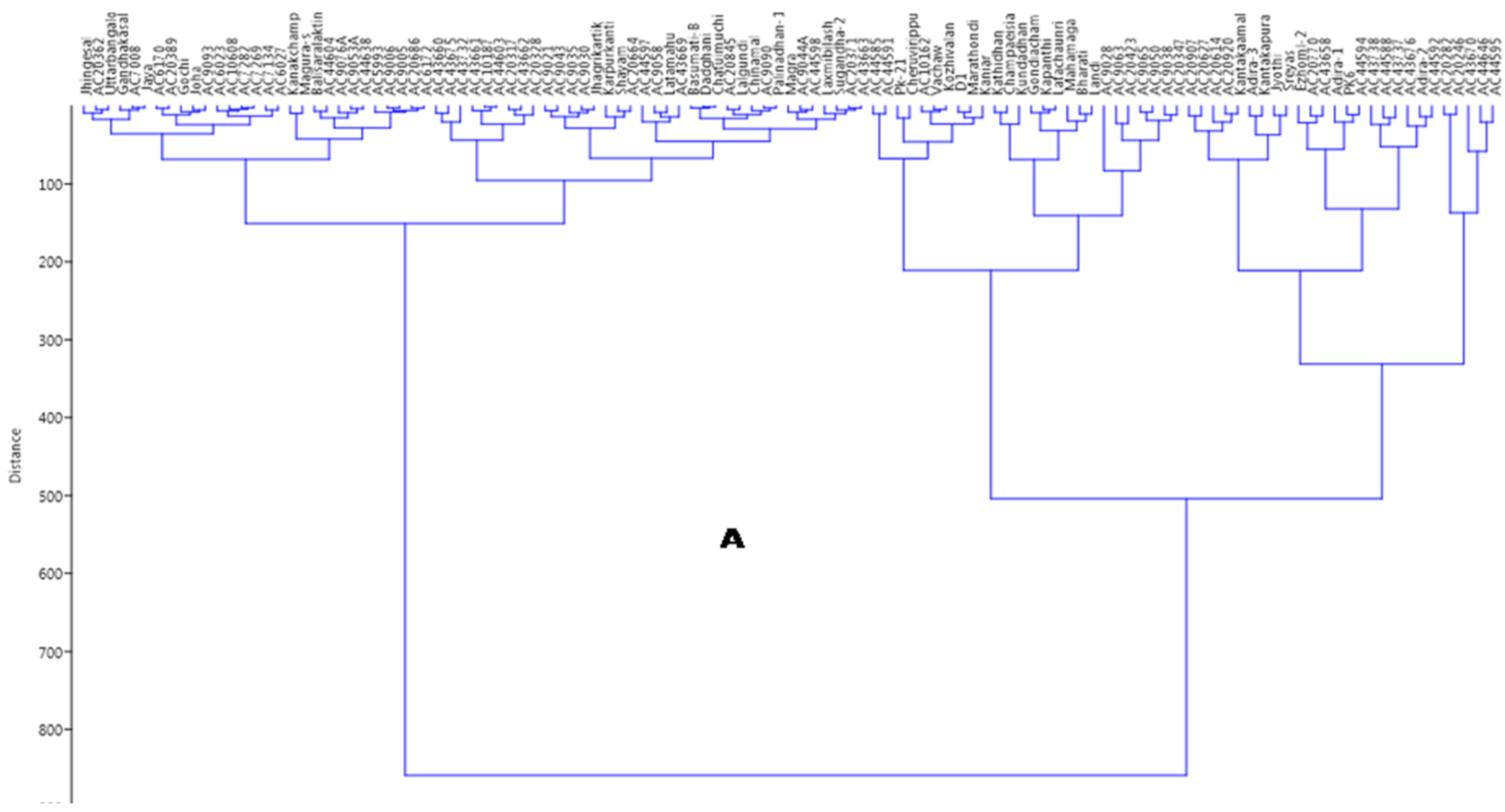 Plants 11 01463 g008a