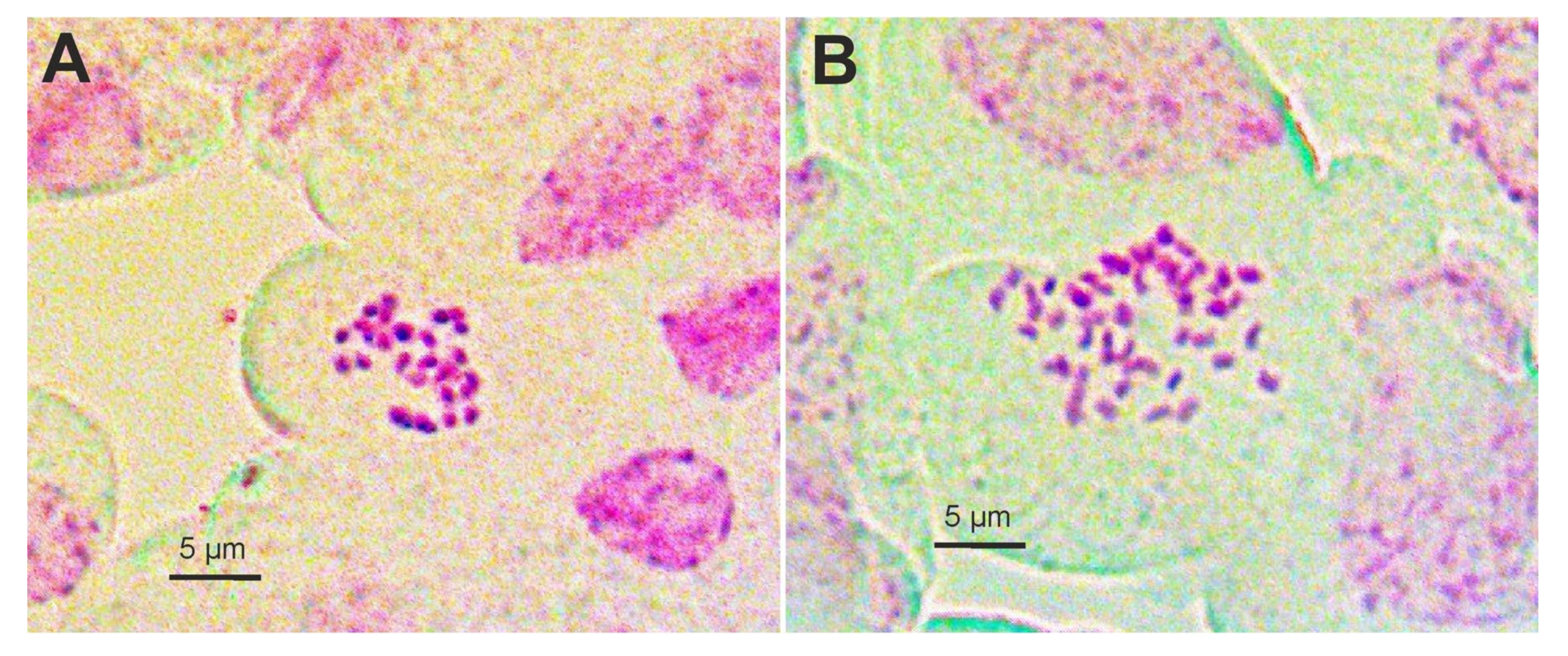 Plants 11 01481 g001