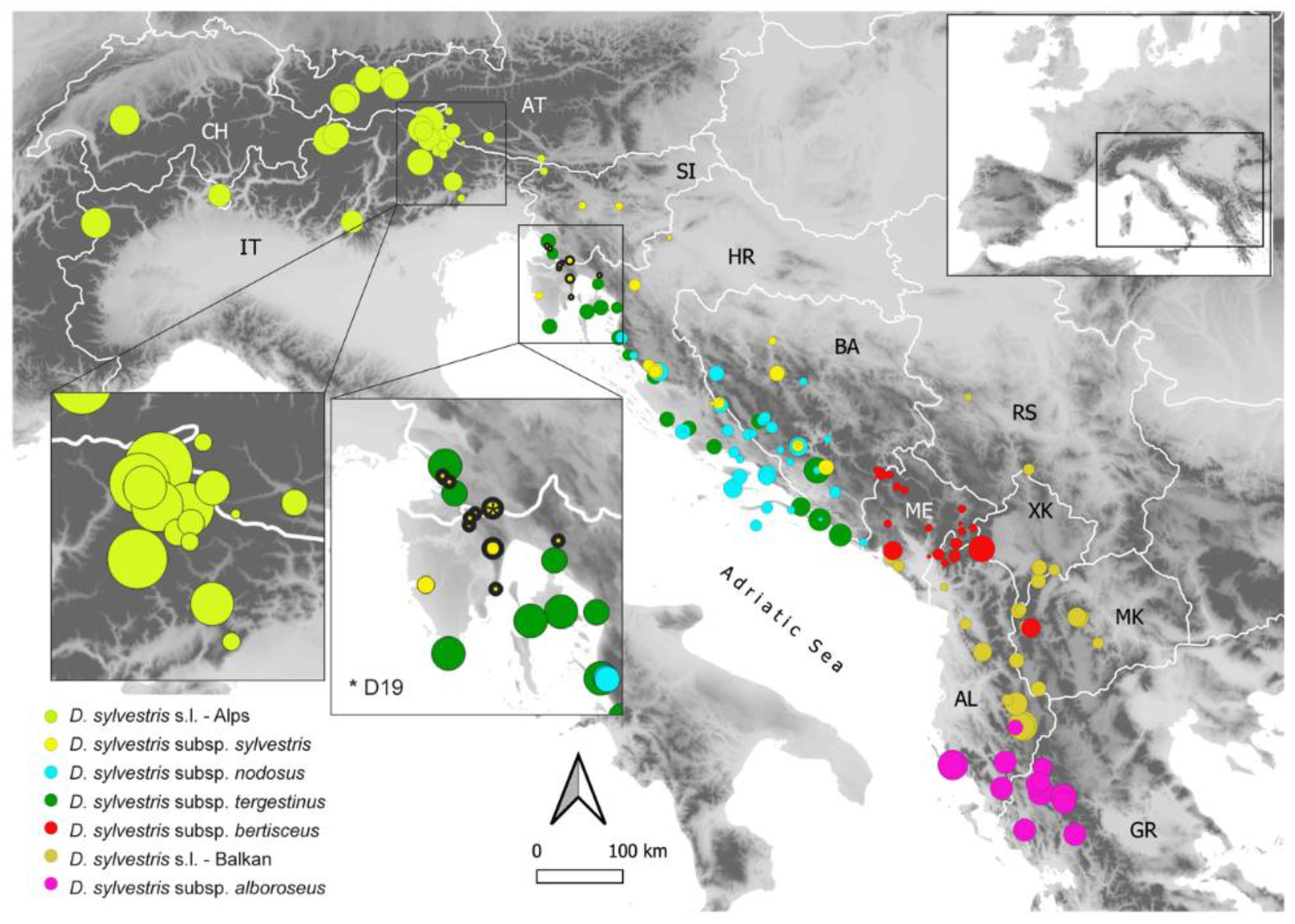 Plants 11 01481 g002