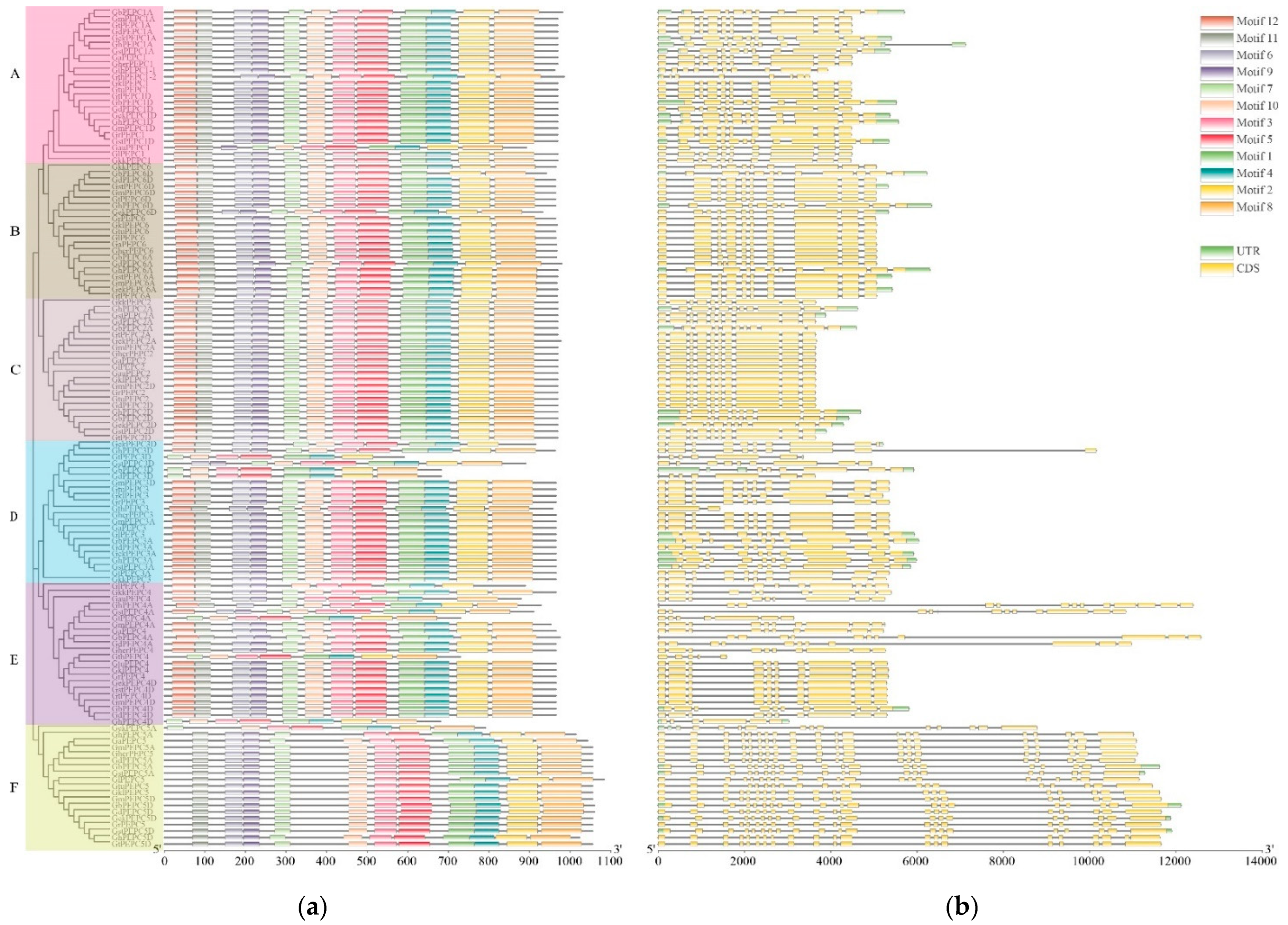 Plants 11 01482 g003