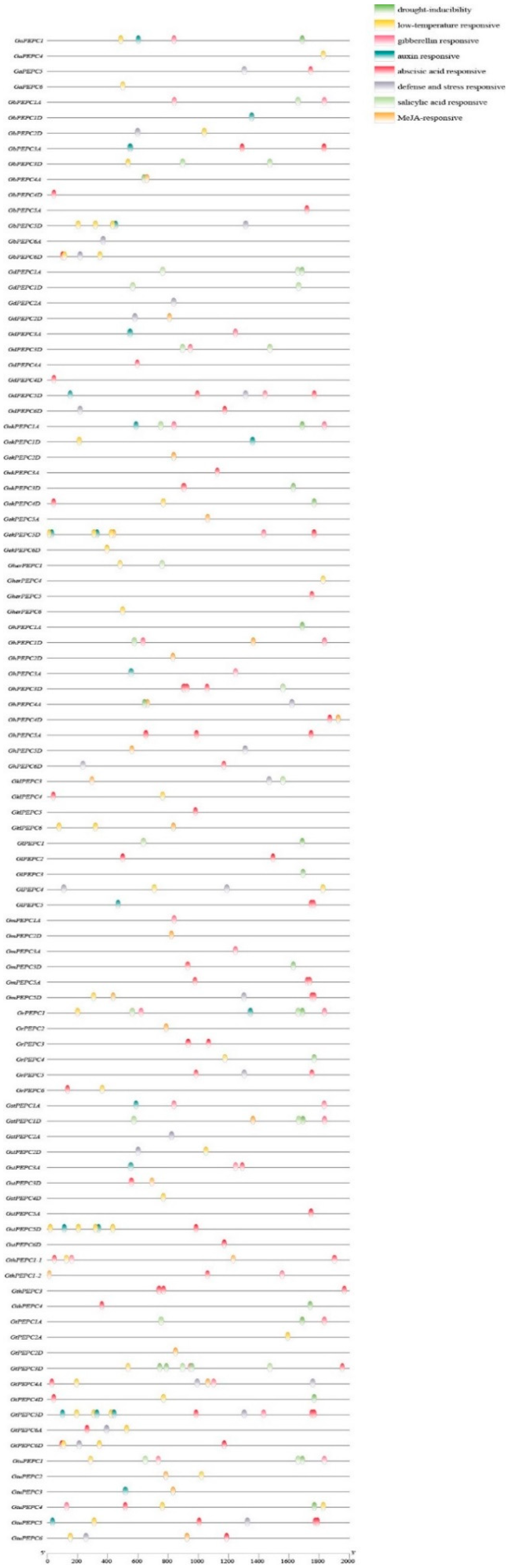 Plants 11 01482 g004