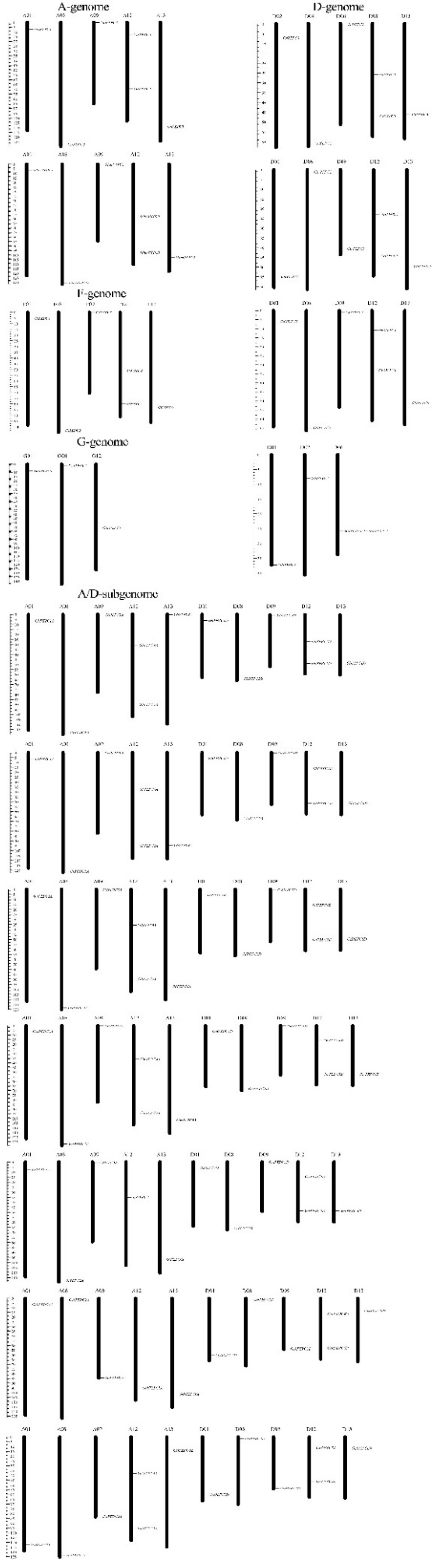 Plants 11 01482 g005