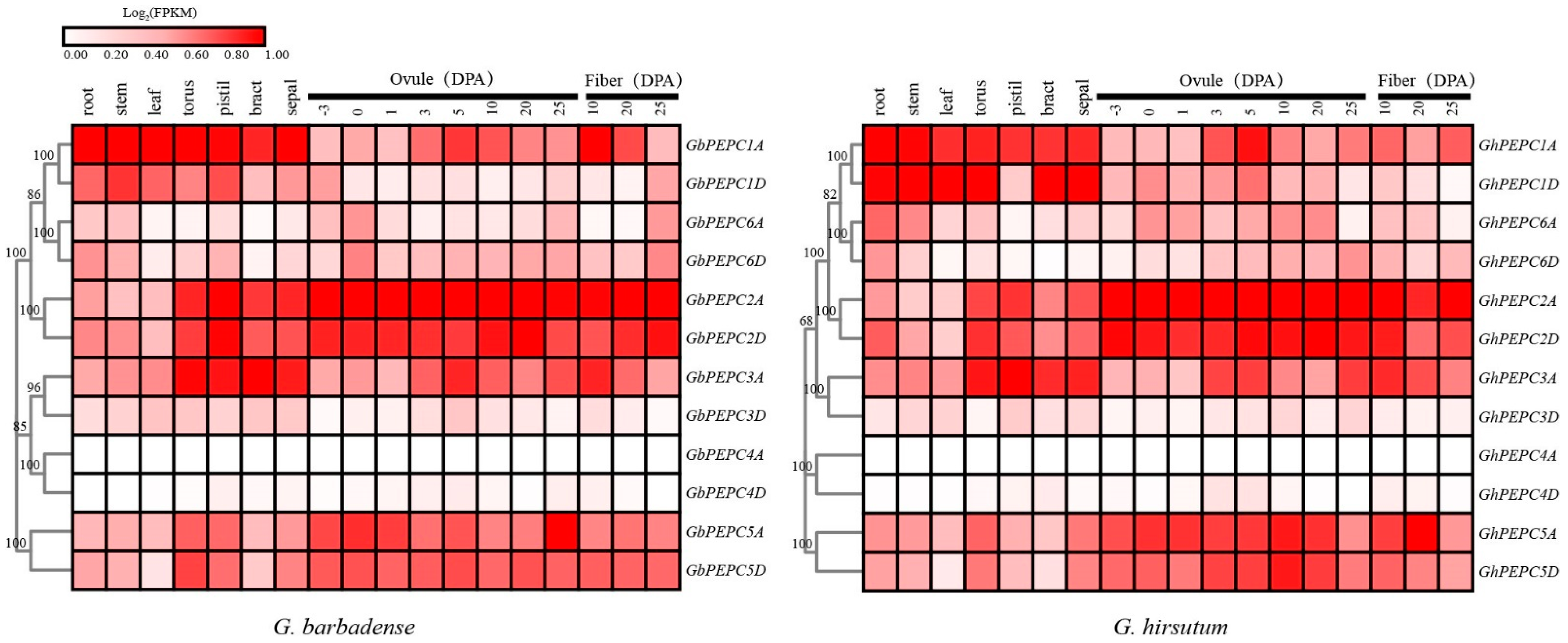 Plants 11 01482 g007