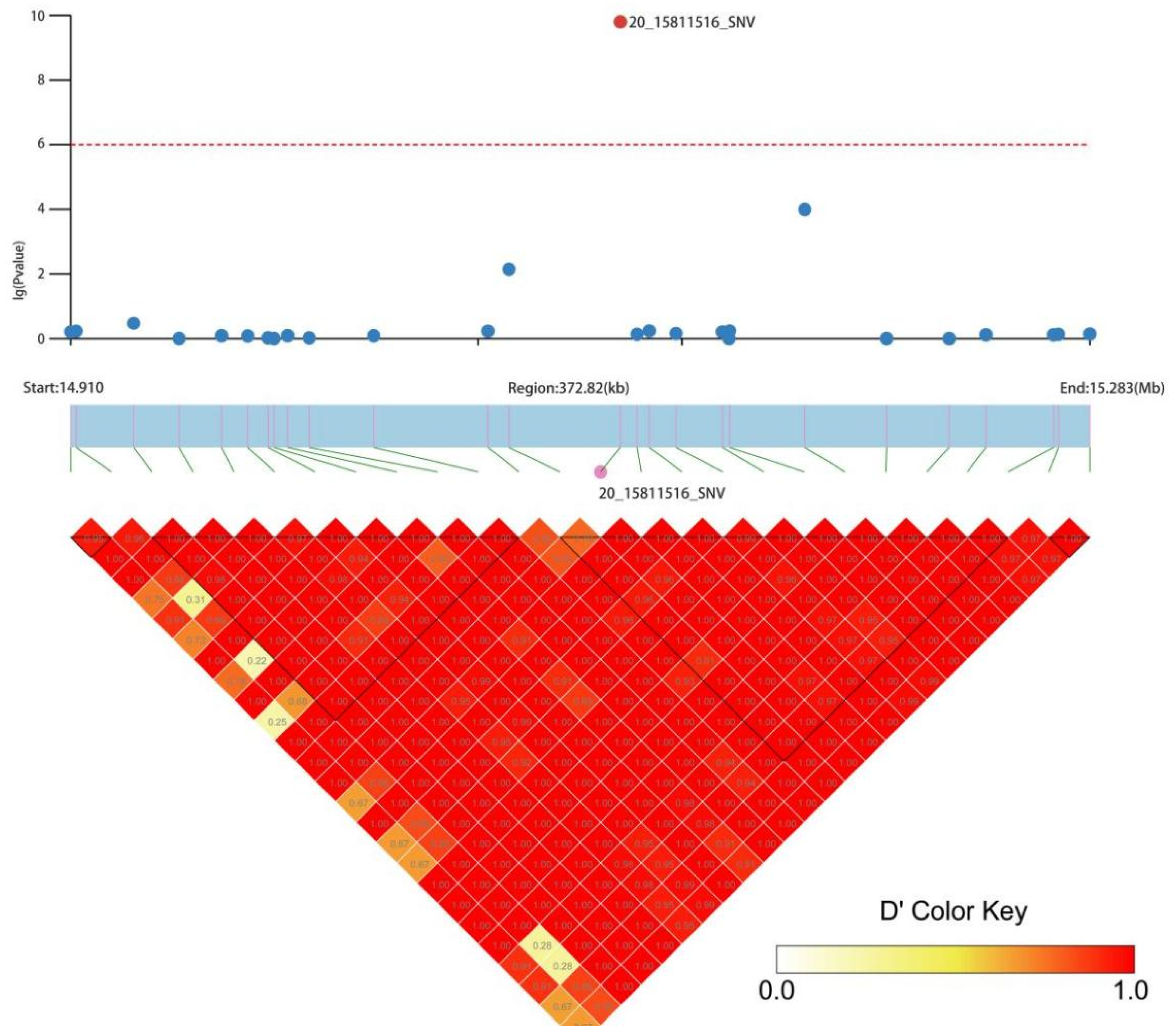 Plants 11 01483 g006