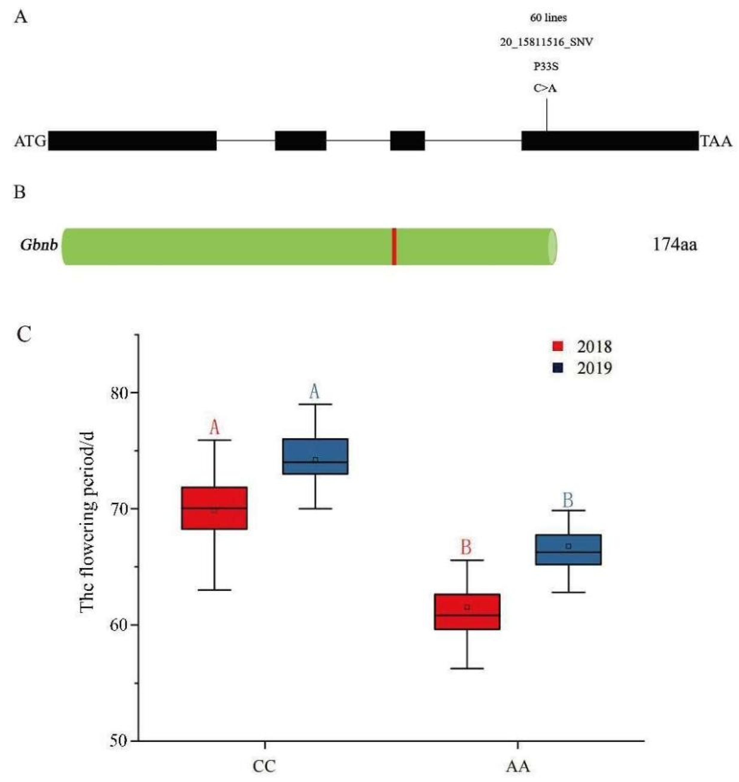 Plants 11 01483 g007