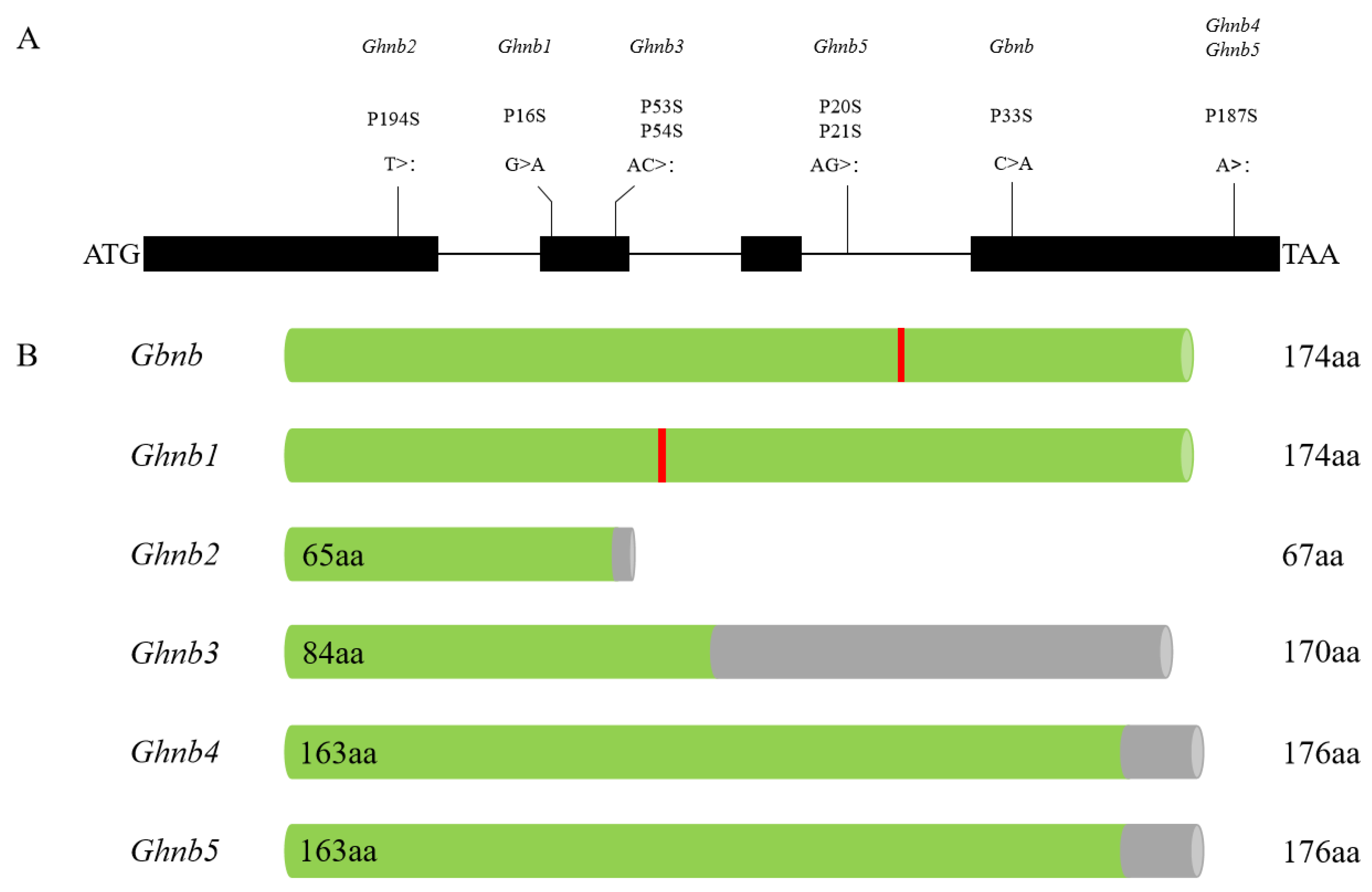 Plants 11 01483 g008