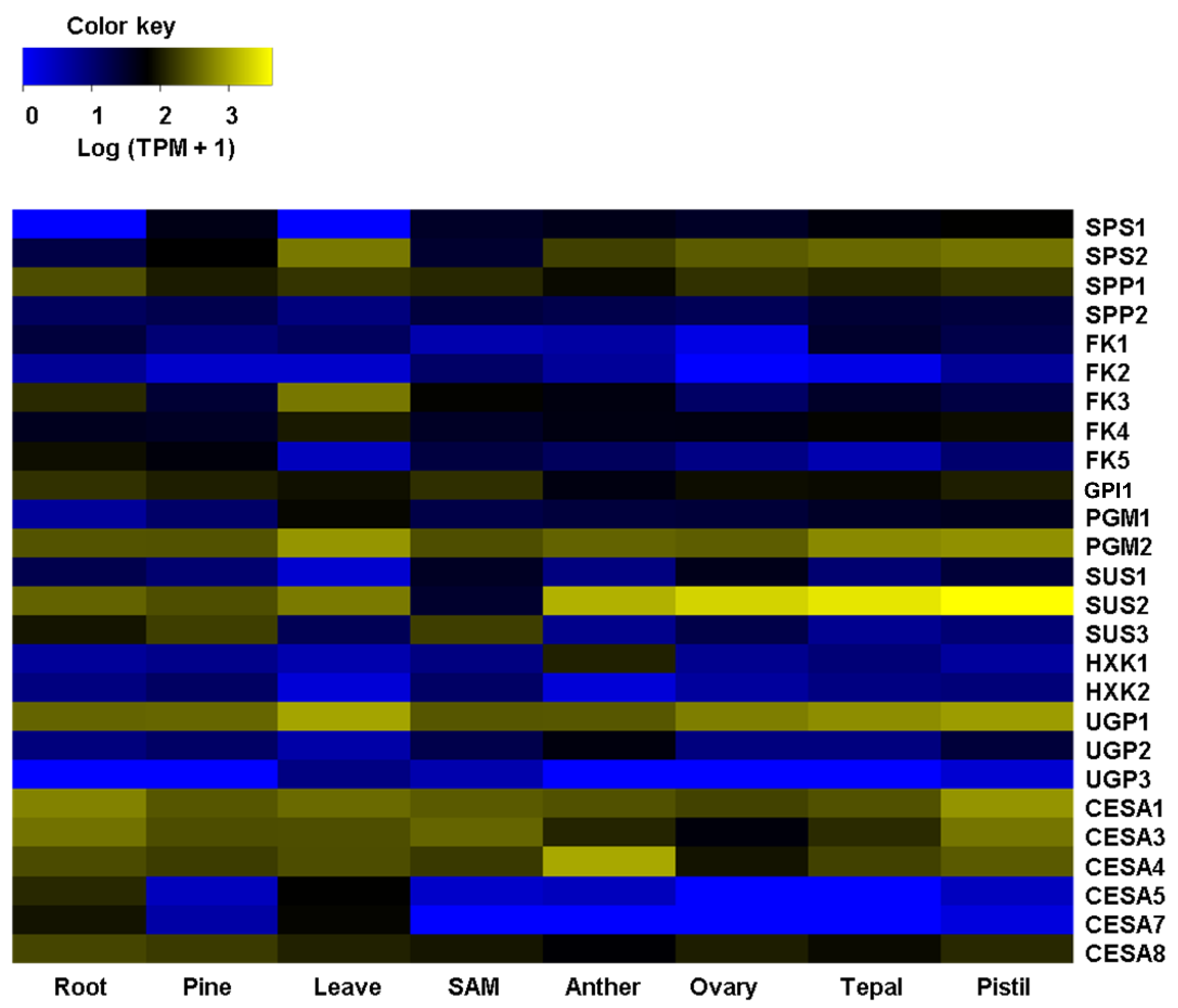 Plants 11 01496 g001 Plants 11 01496 g001