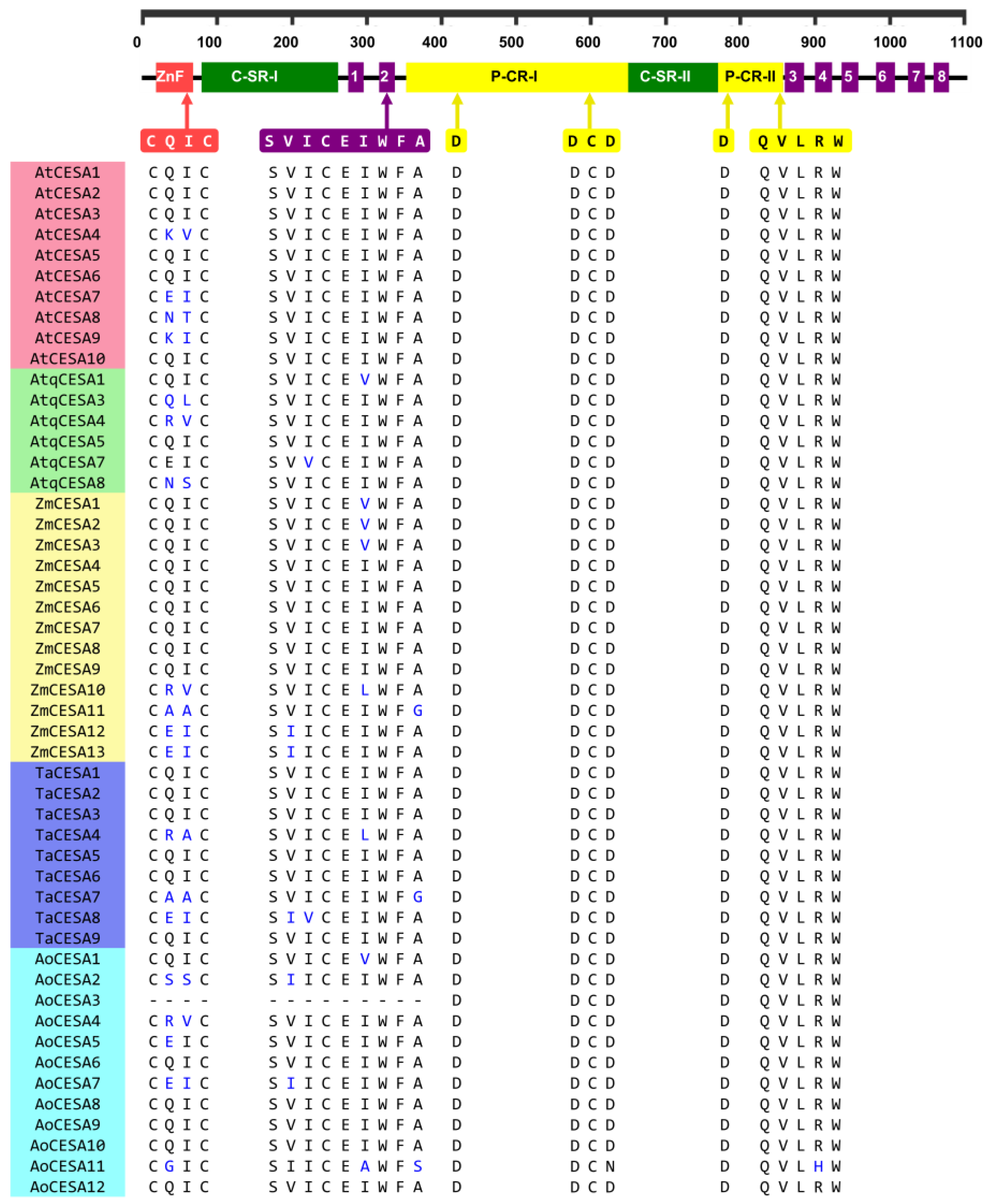 Plants 11 01496 g003 Plants 11 01496 g003