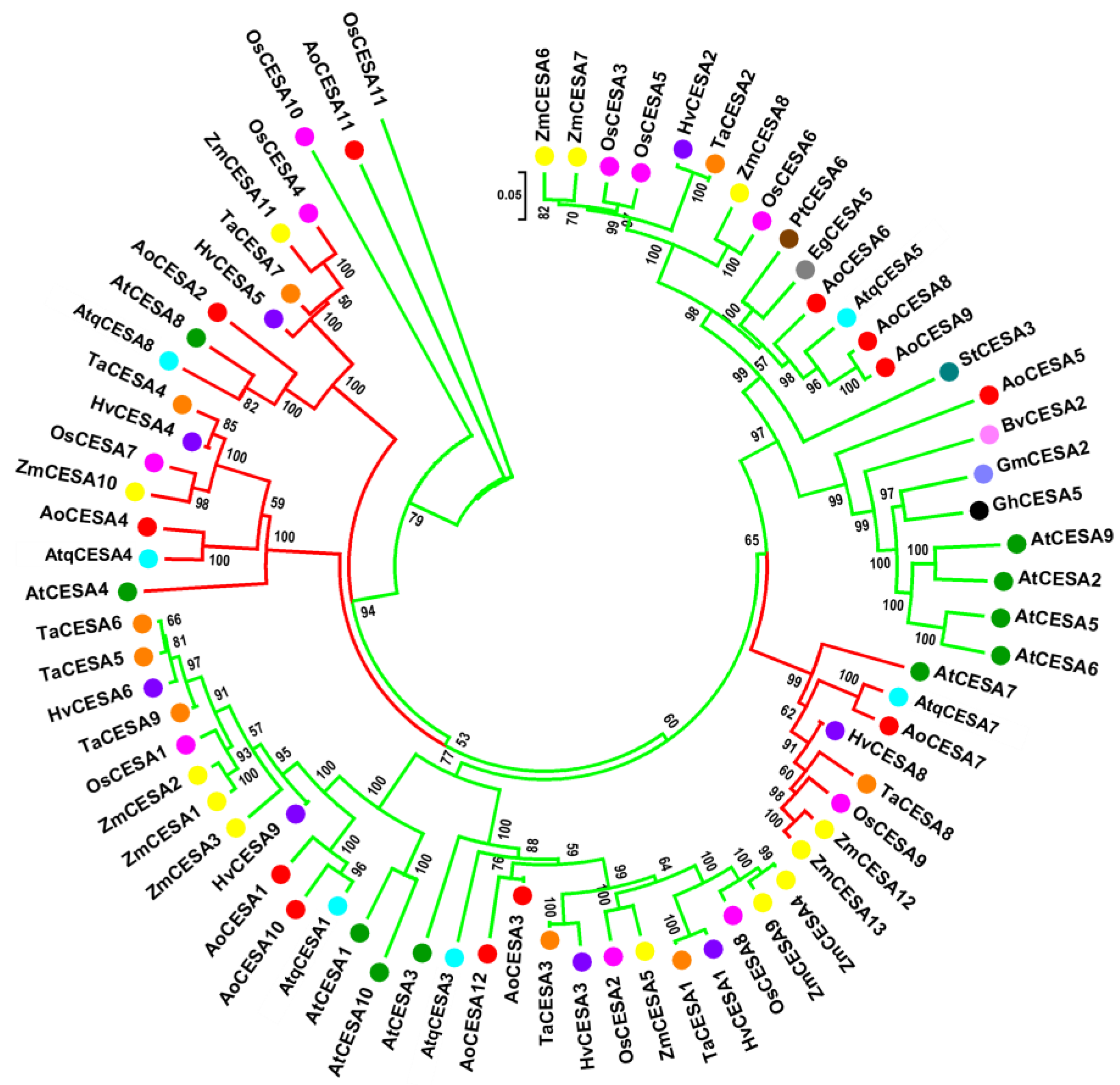 Plants 11 01496 g005 Plants 11 01496 g005
