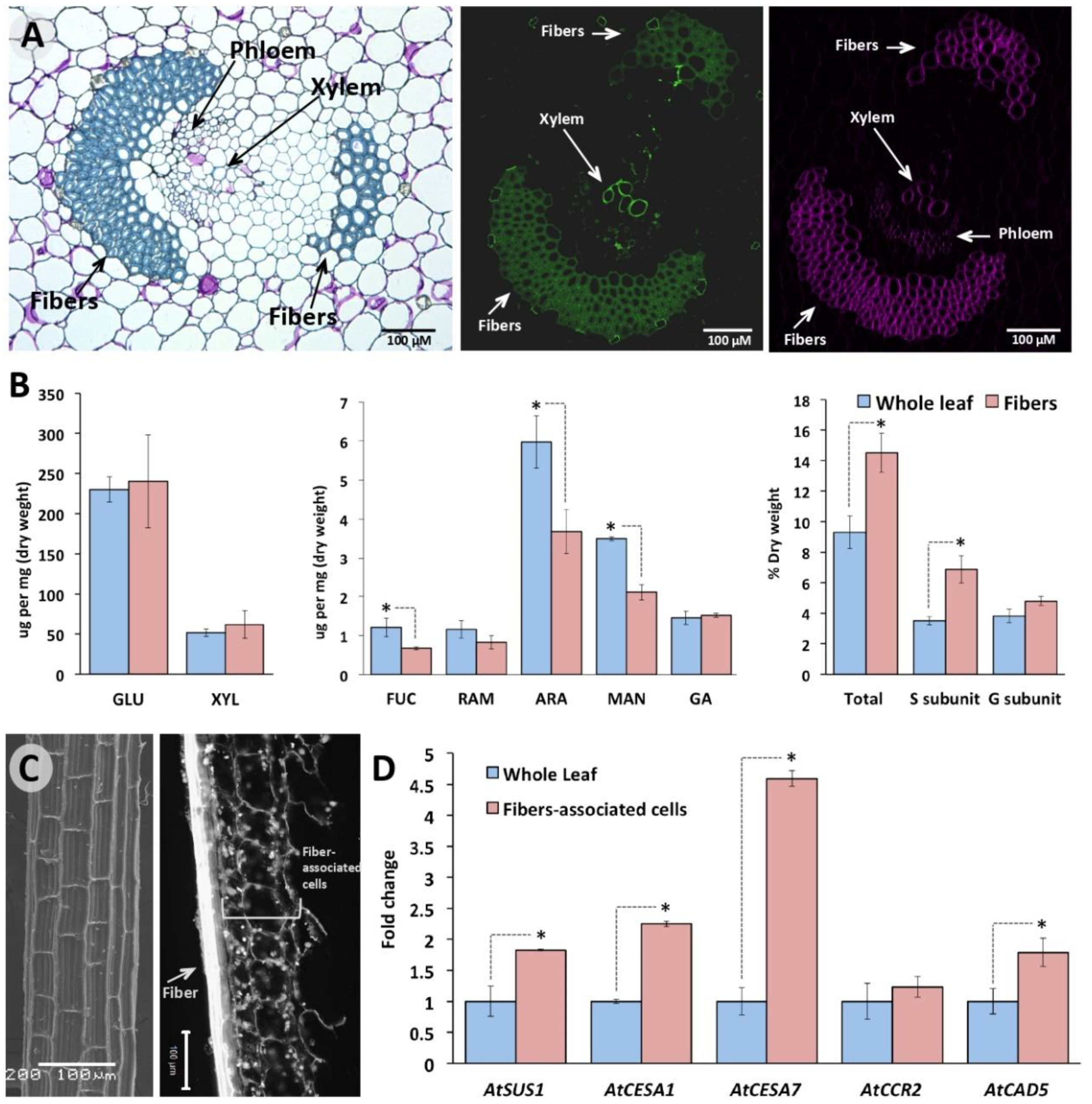 Plants 11 01496 g007 Plants 11 01496 g007