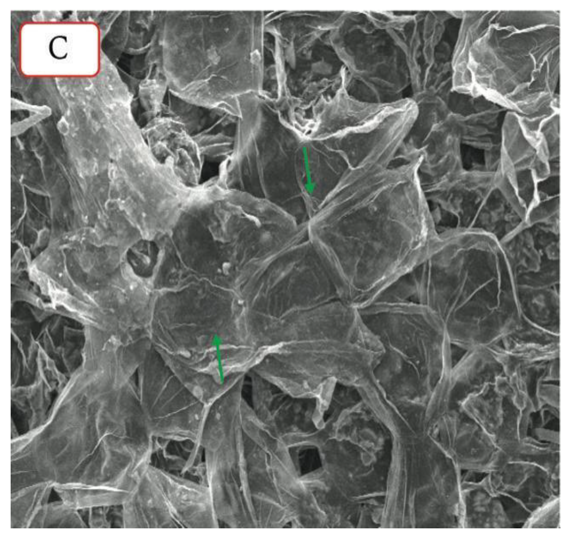 Plants 11 01497 g003b