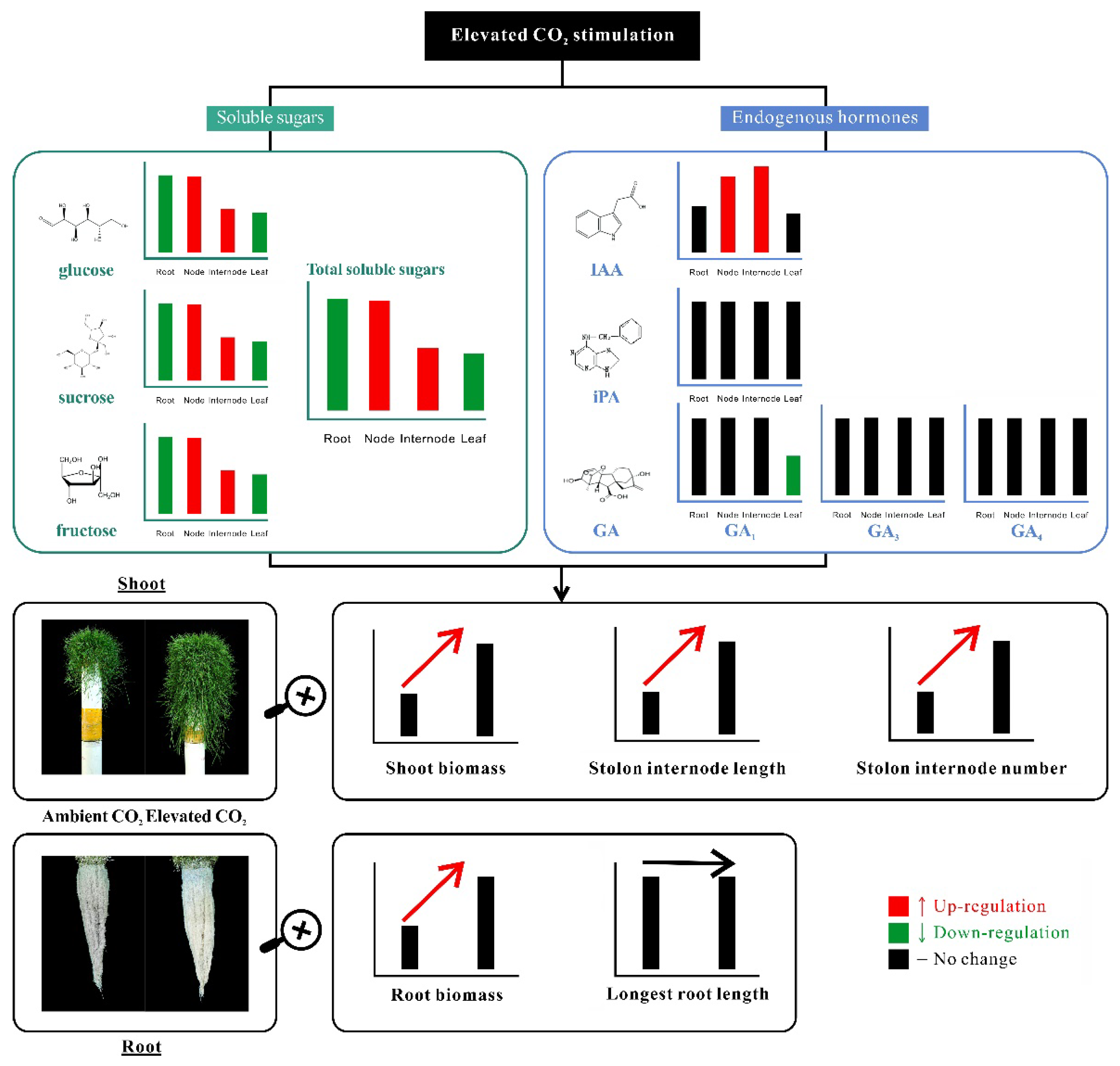 Plants 11 01500 g007