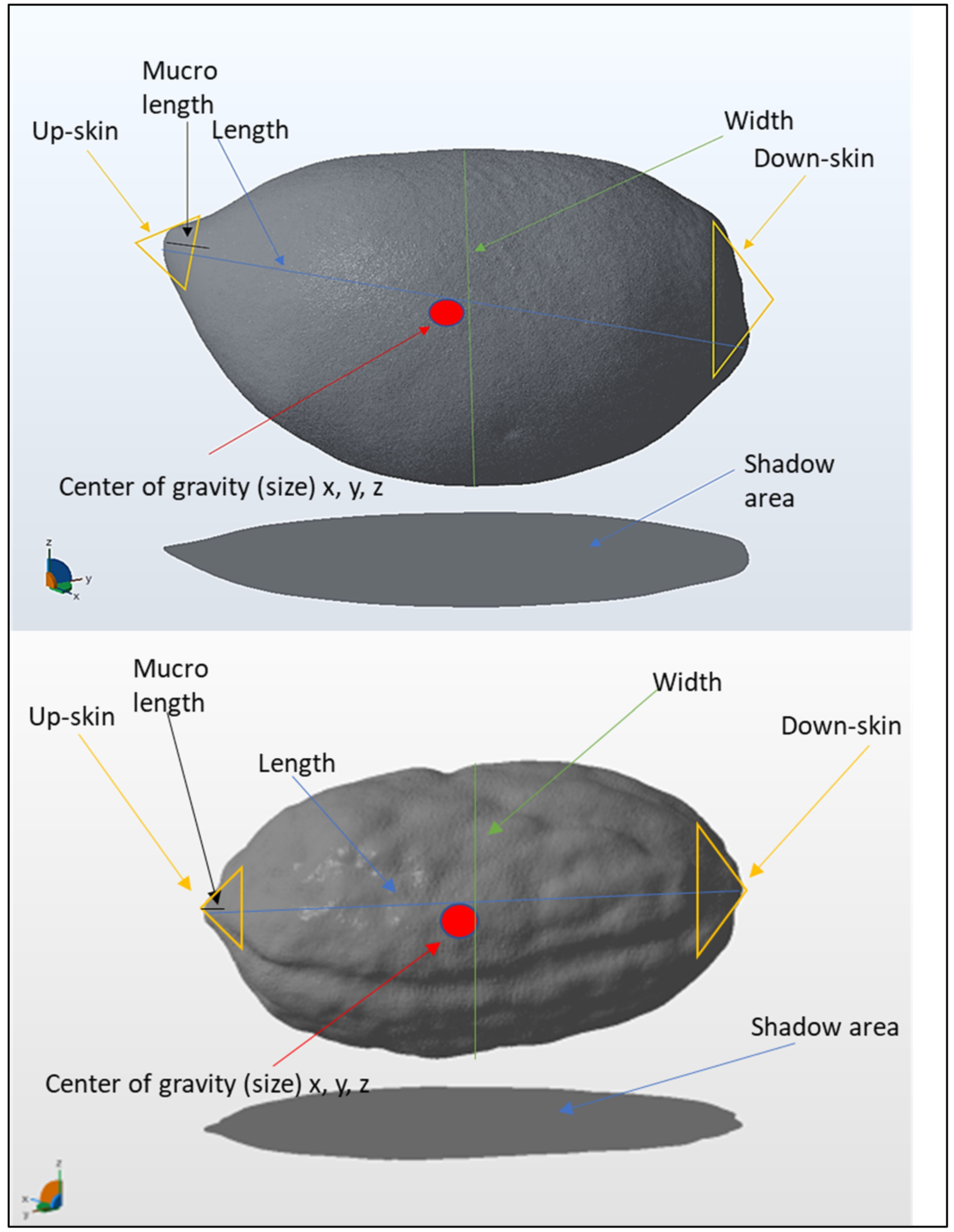 Plants 11 01501 g001