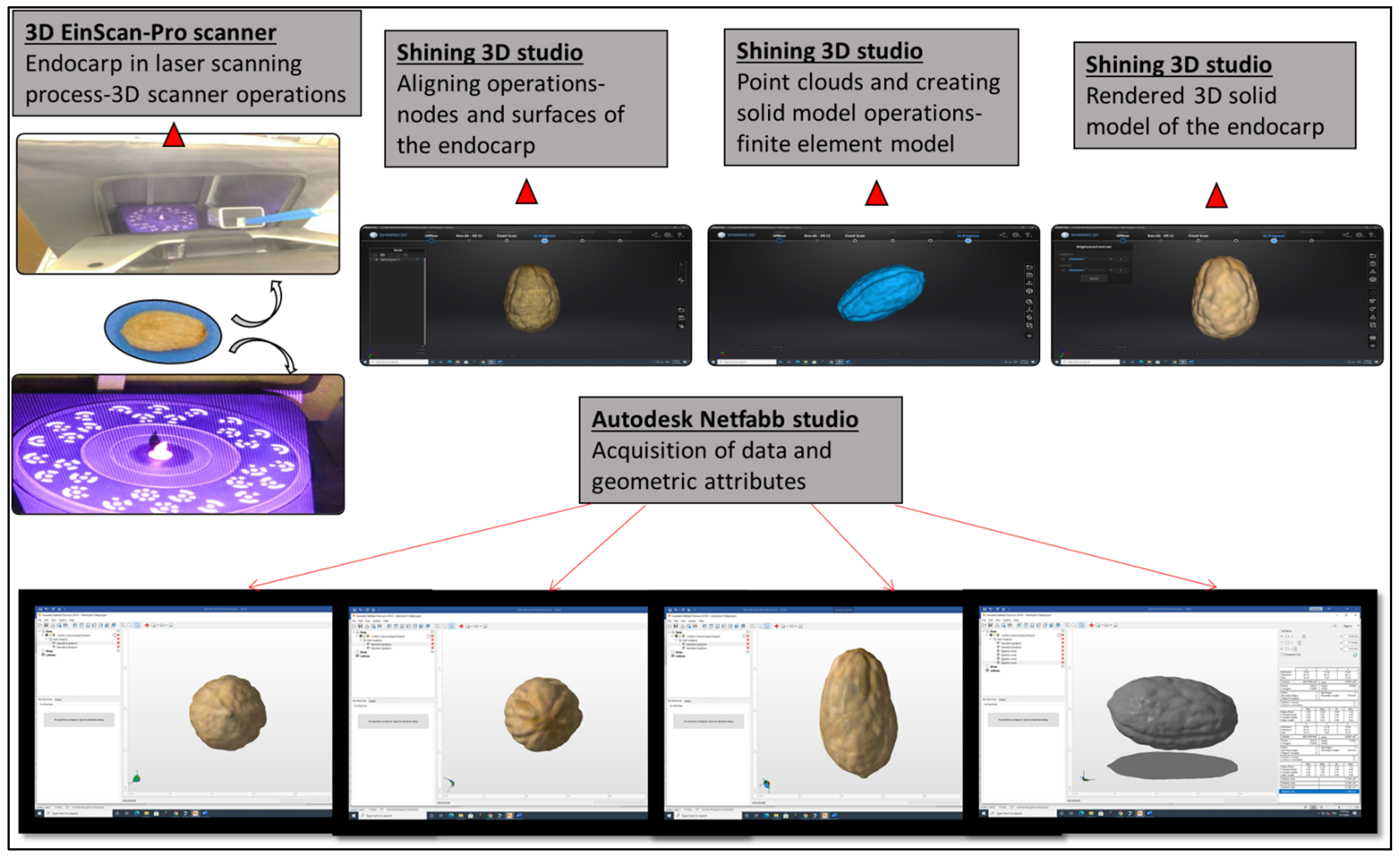 Plants 11 01501 g003