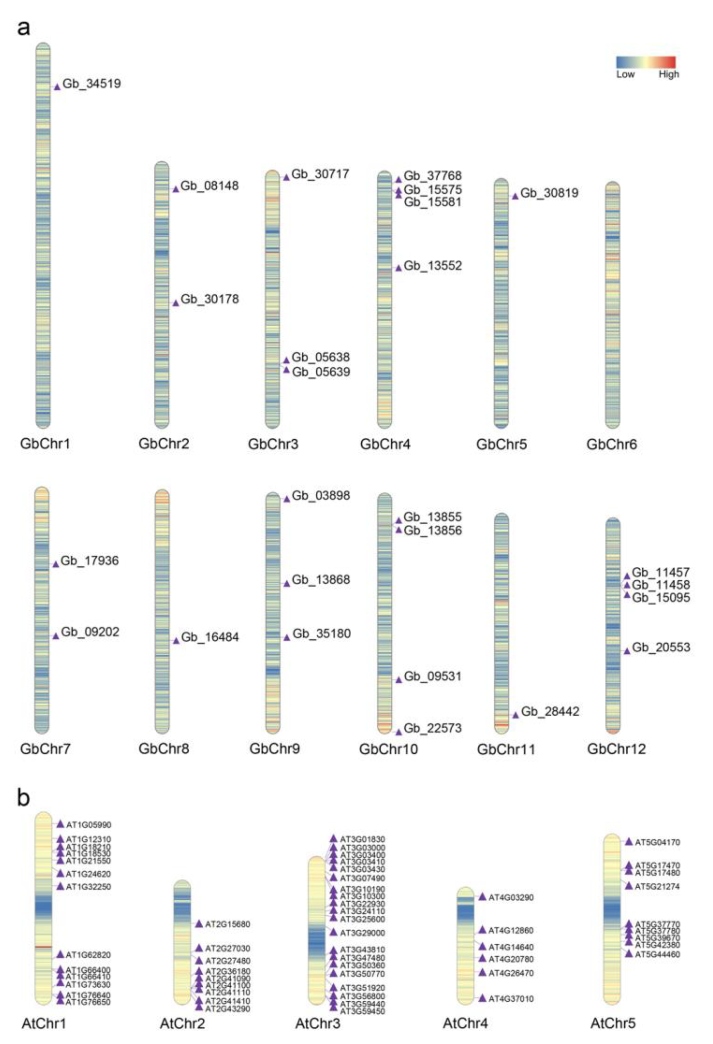 Plants 11 01506 g001